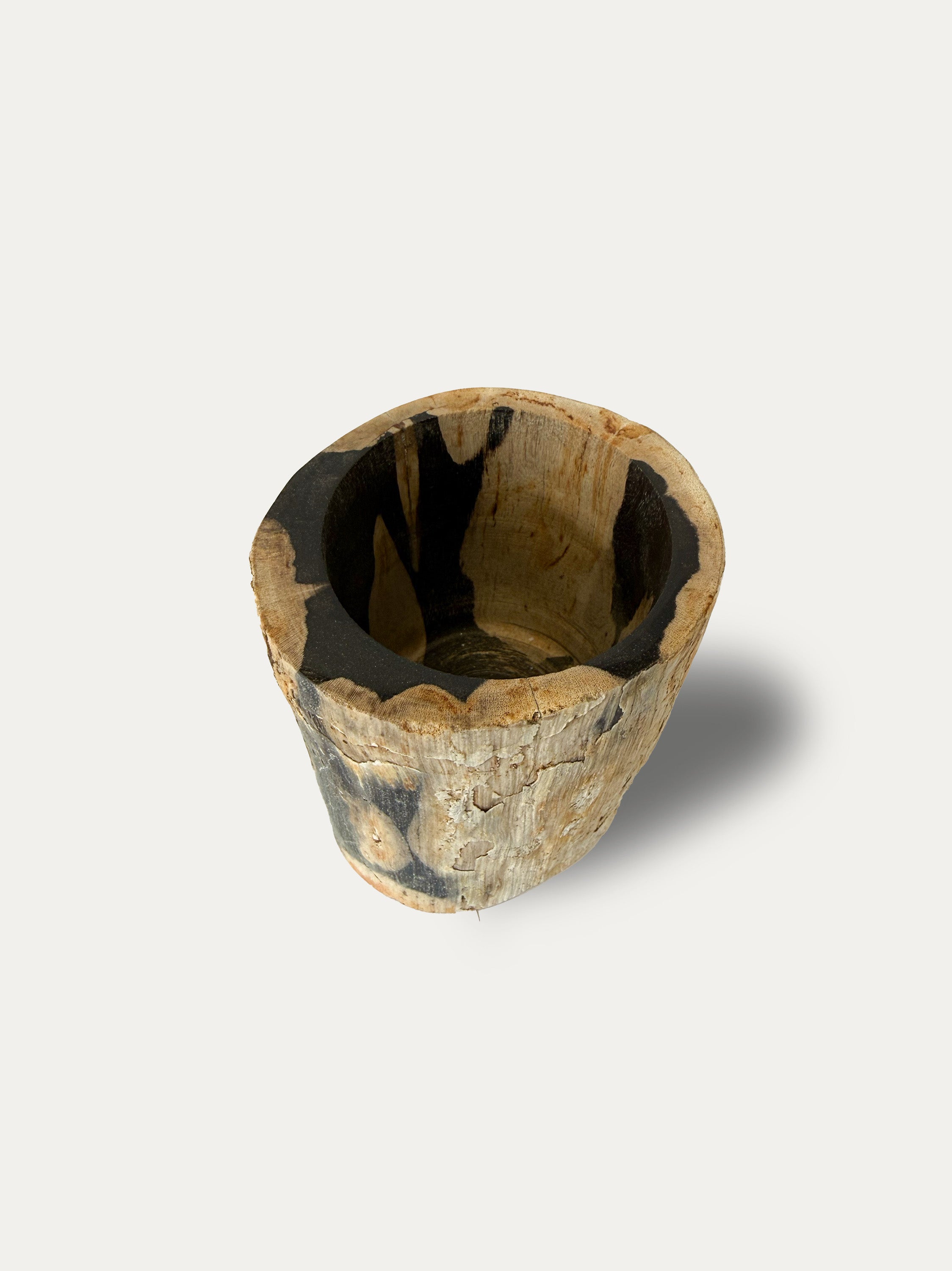 Petrified Wood Glass