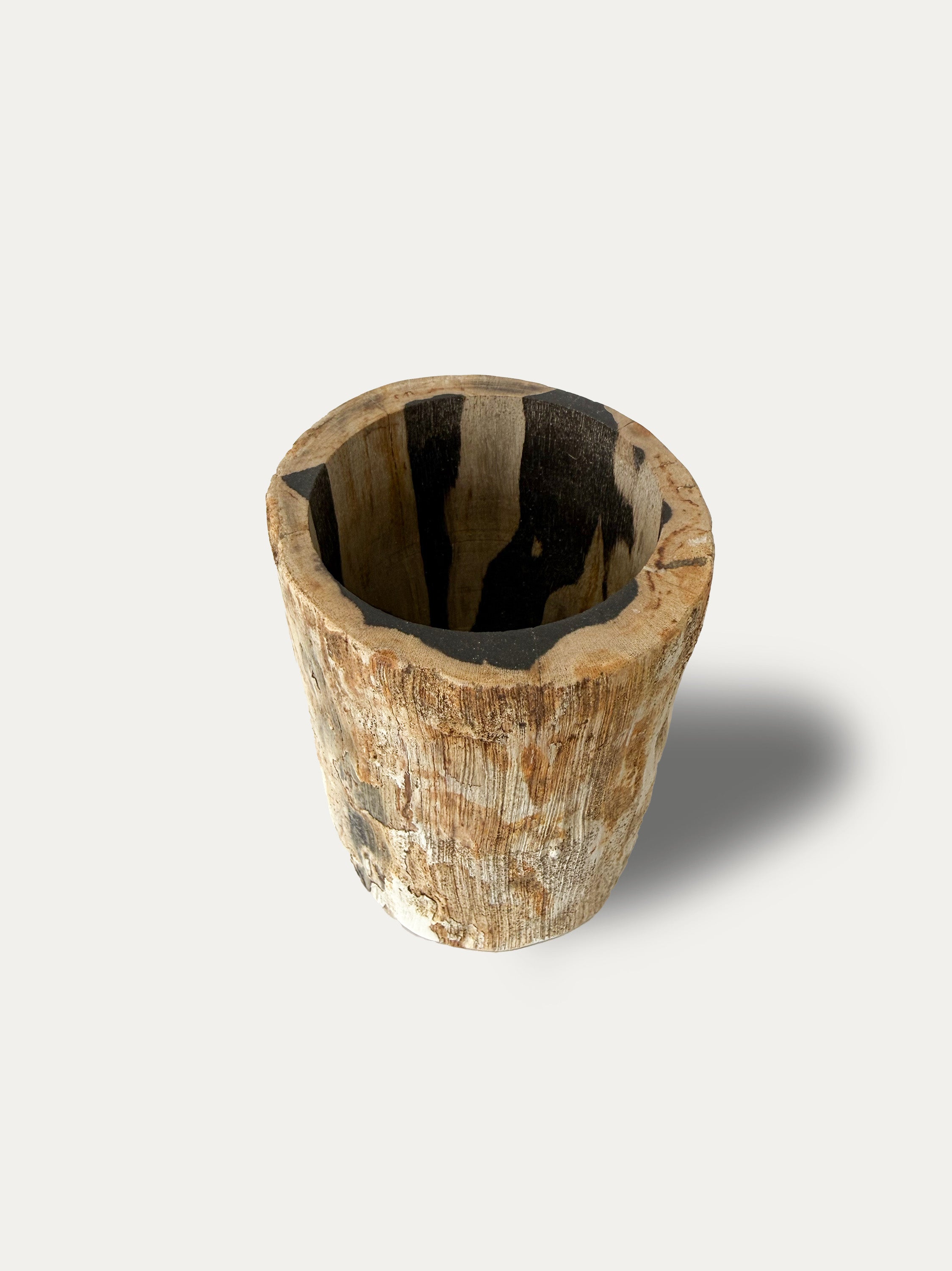 Petrified Wood Glass