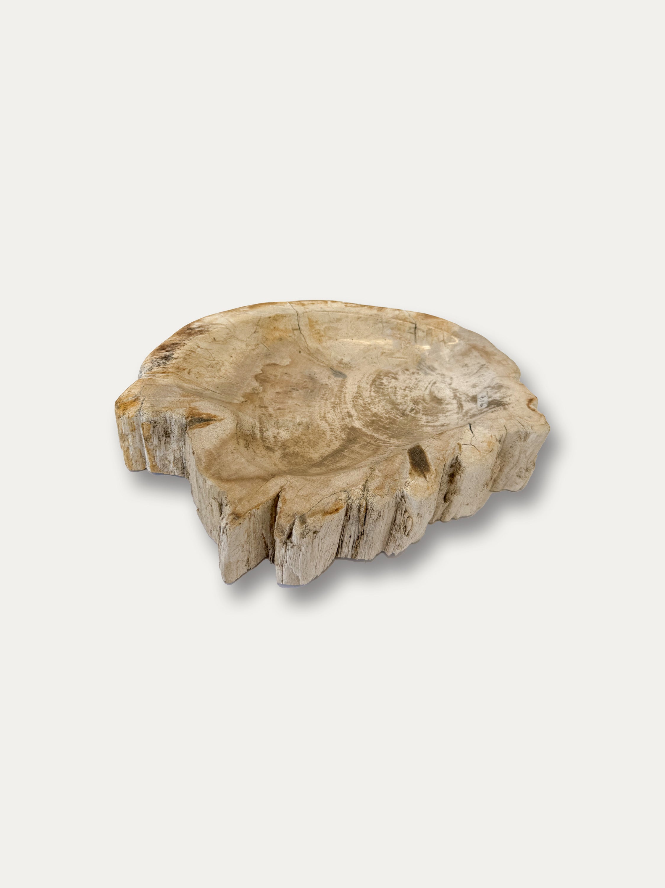 Petrified Wood Bowl