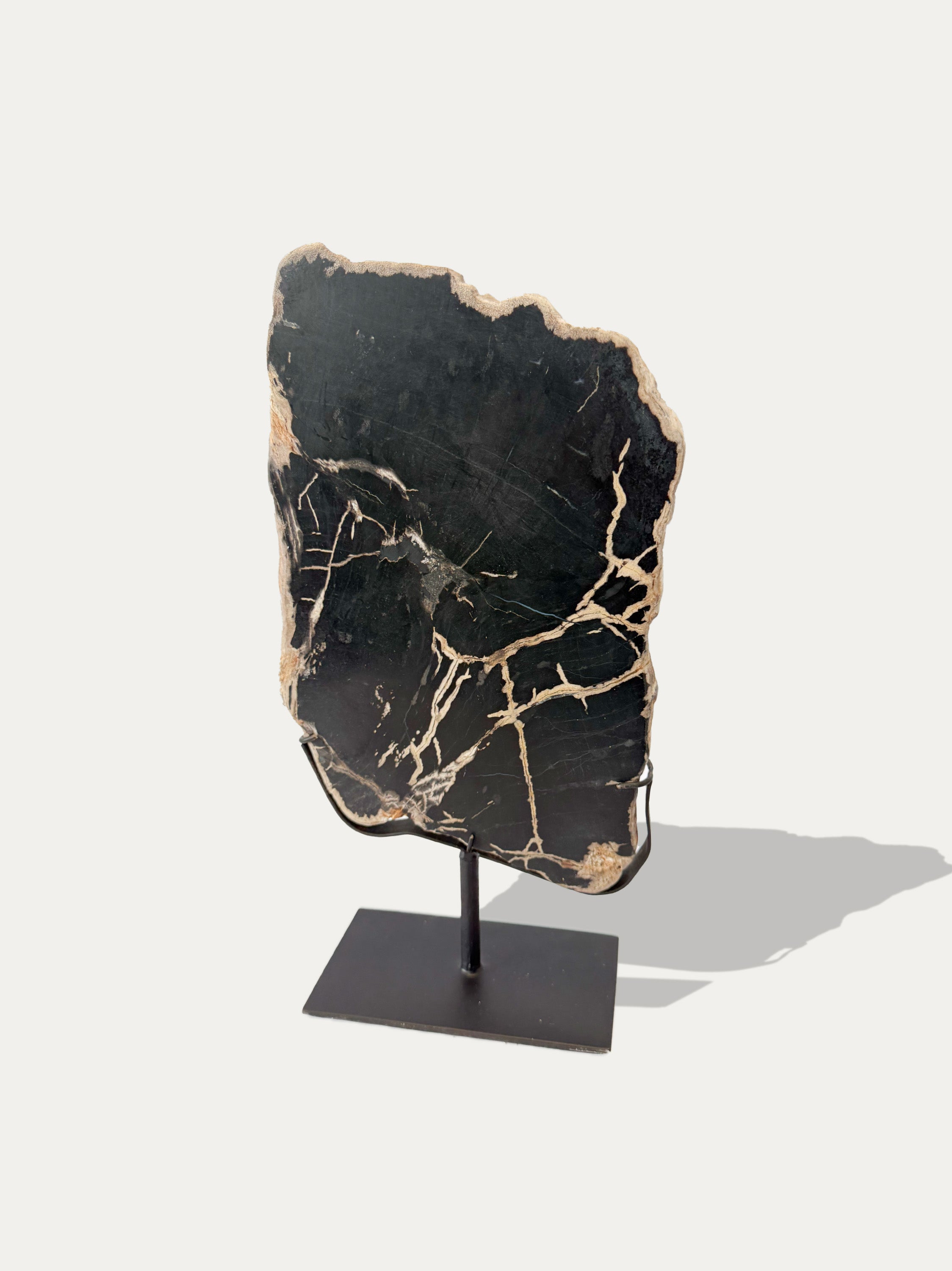 Escultura y bandeja de madera petrificada