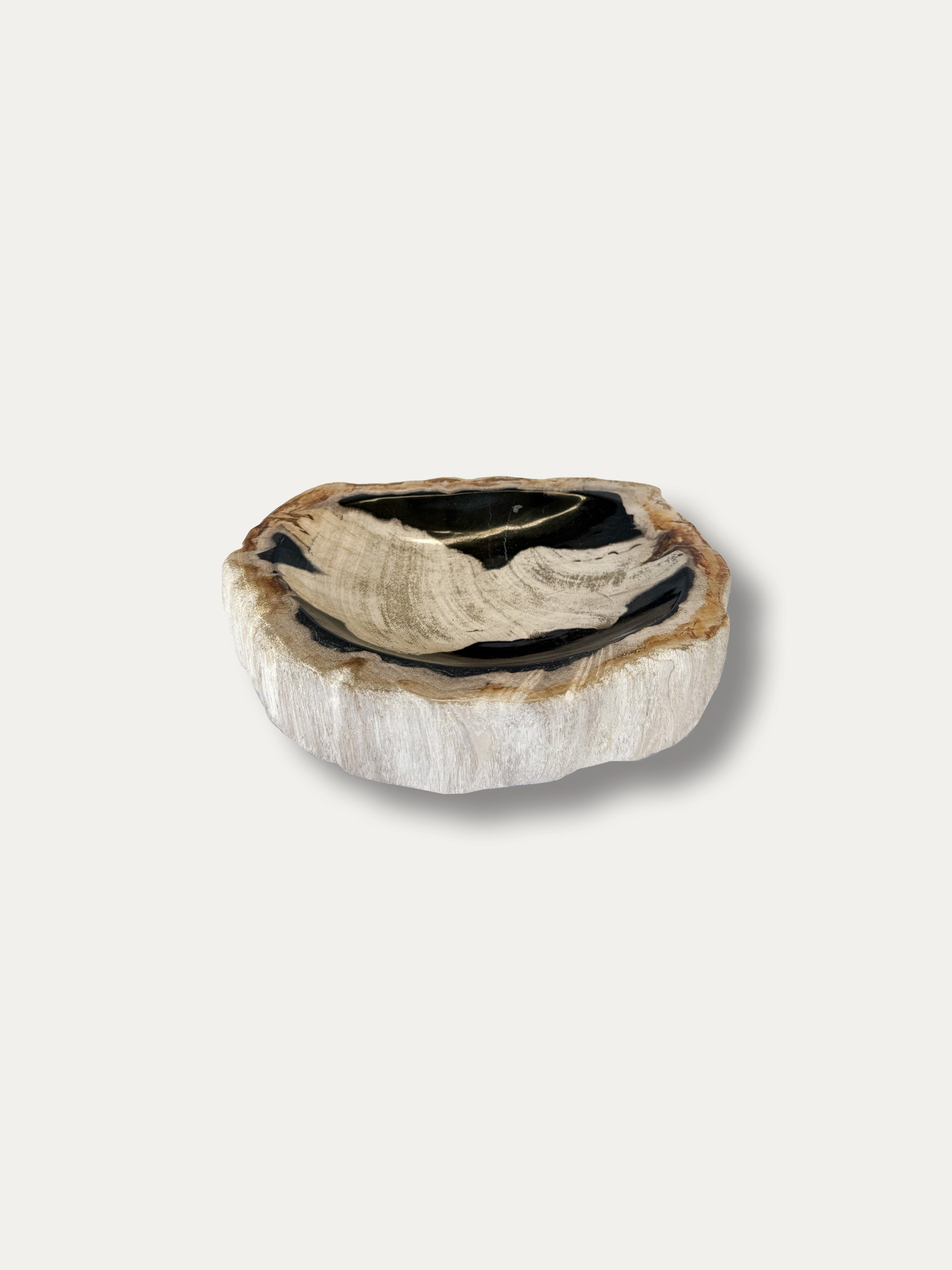 Petrified Wood Bowl