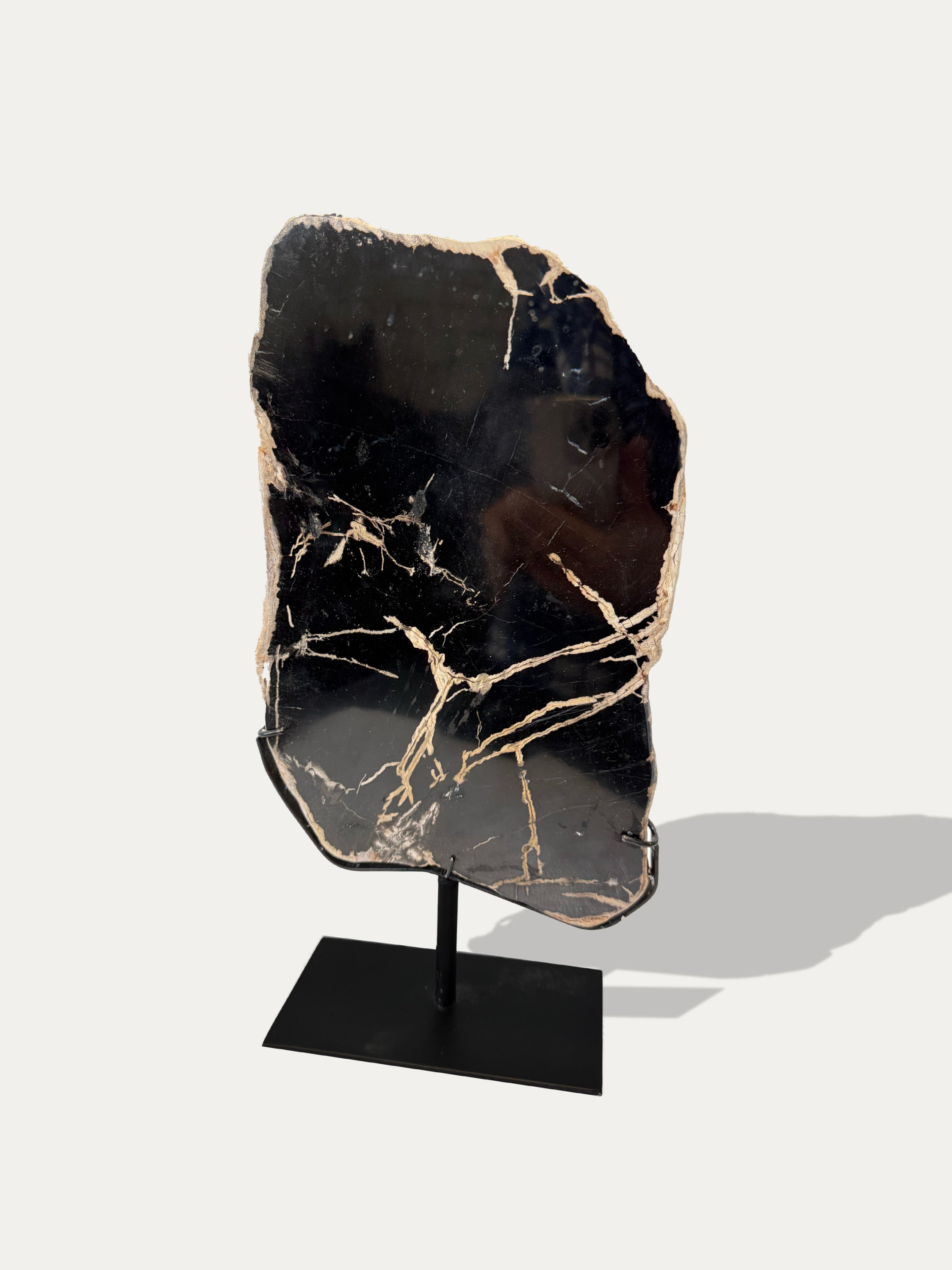 handpicked-petrified-wood-tray-natural-home-decor