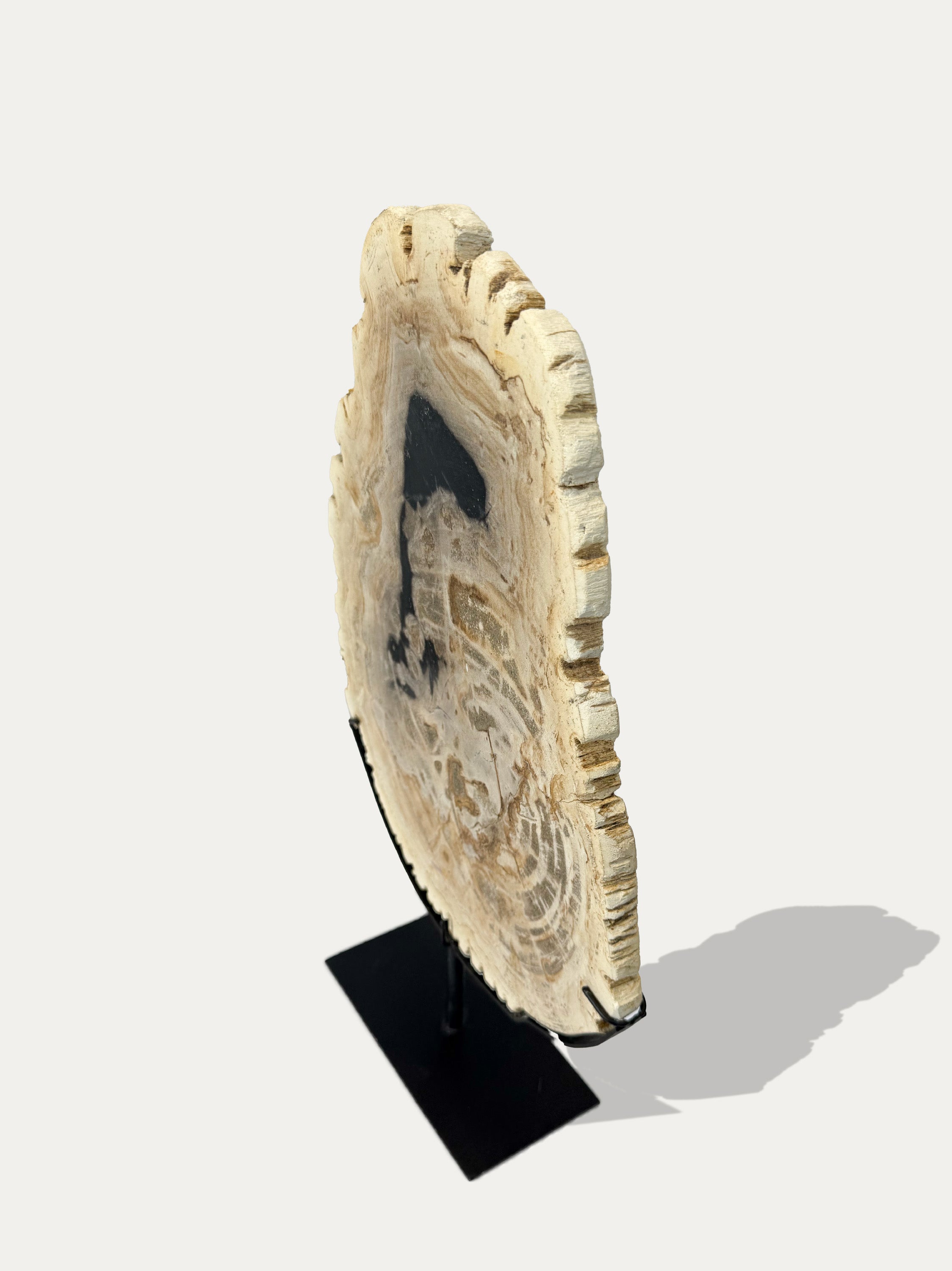 Scultura e Vassoio in Legno Pietrificato