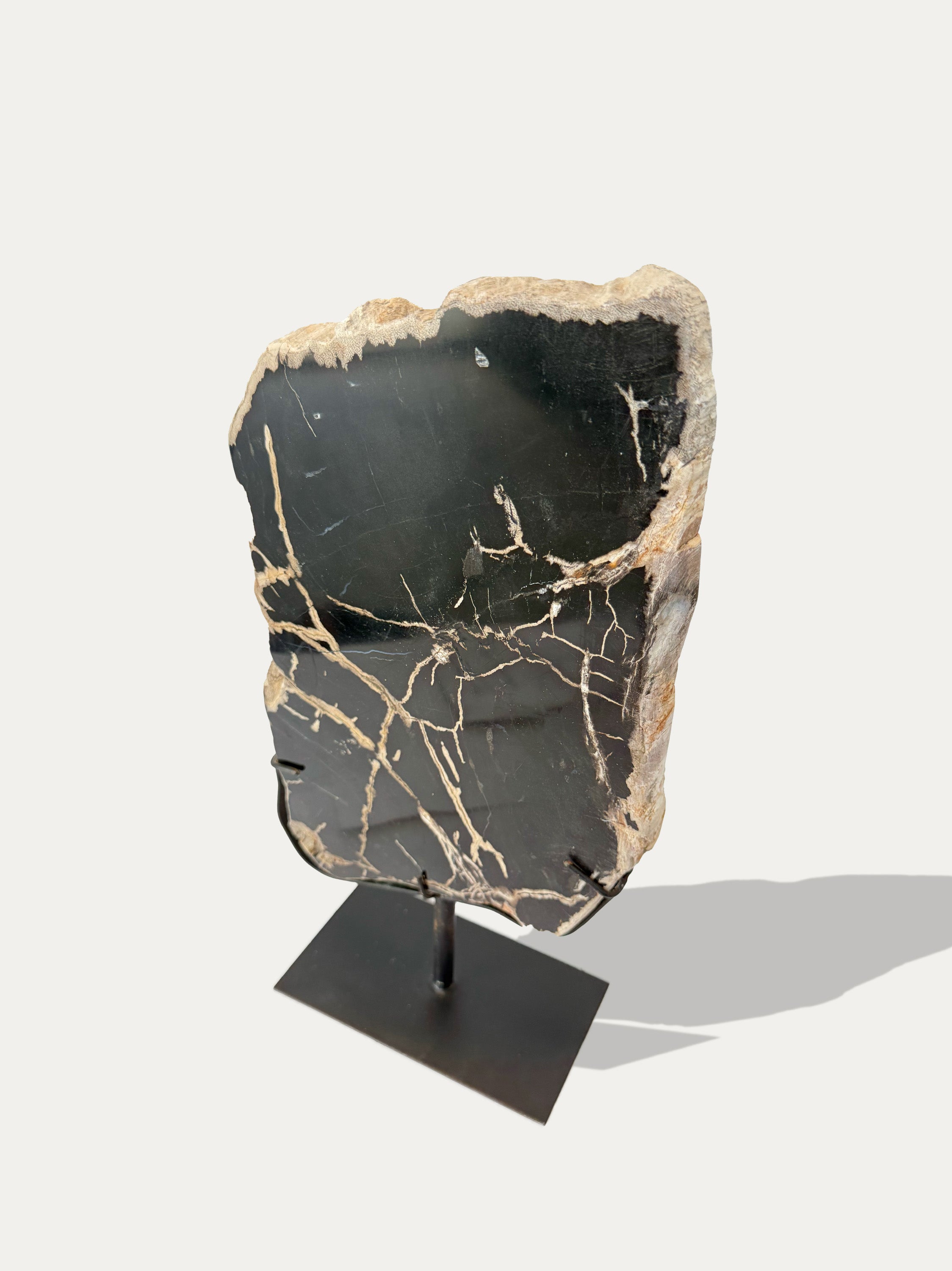 Escultura y bandeja de madera petrificada