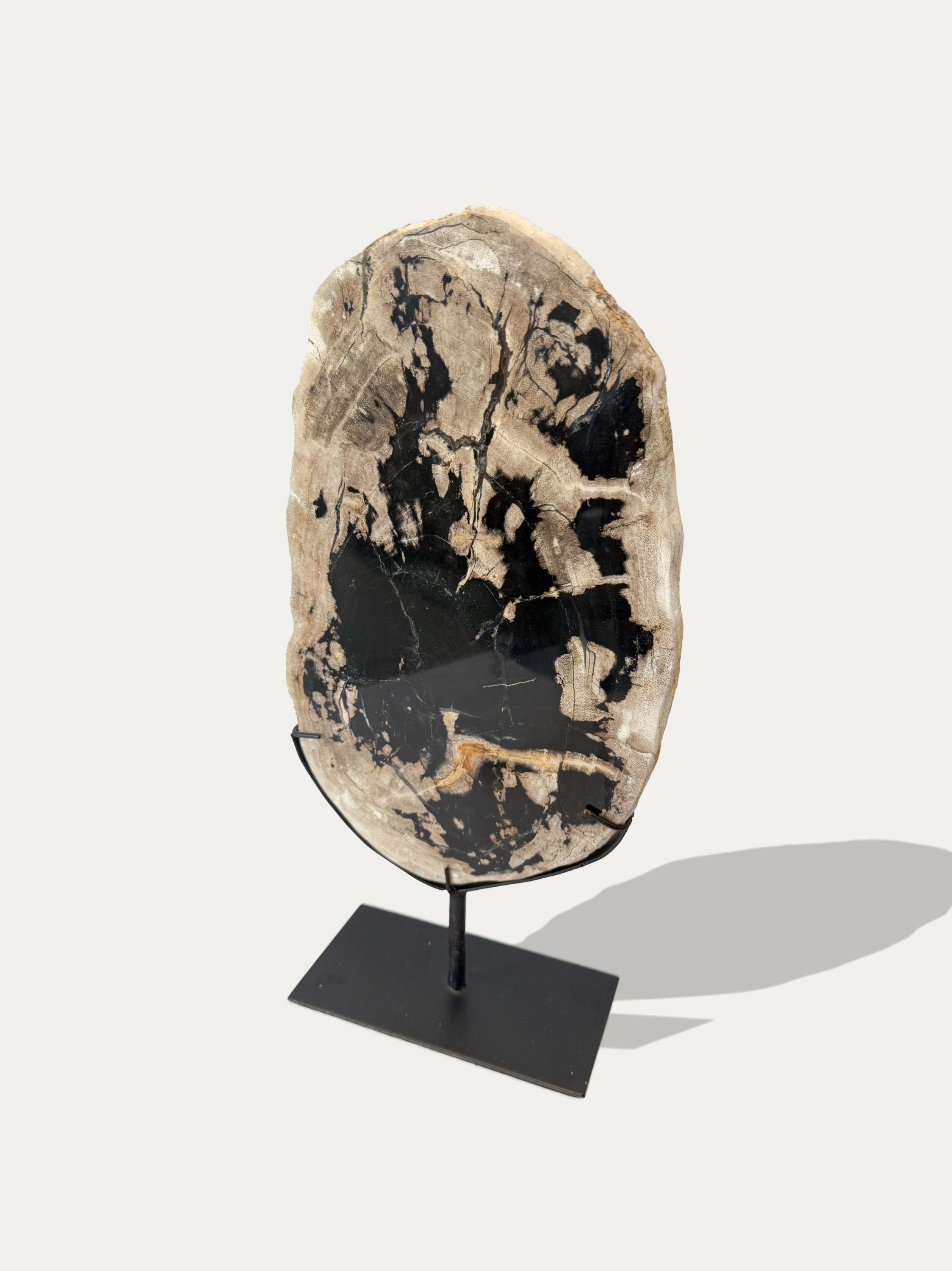 Scultura e Vassoio in Legno Pietrificato