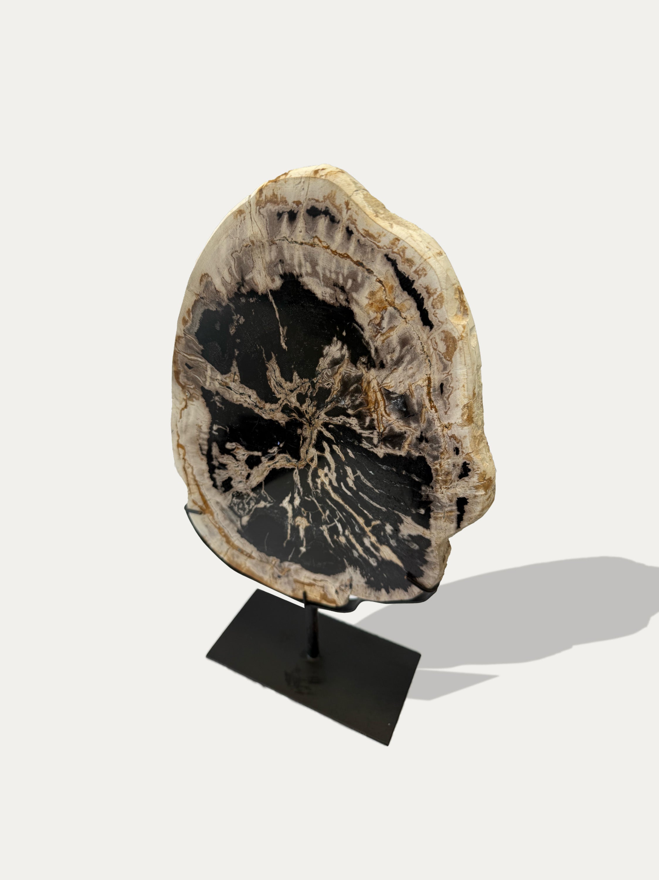 Scultura e Vassoio in Legno Pietrificato