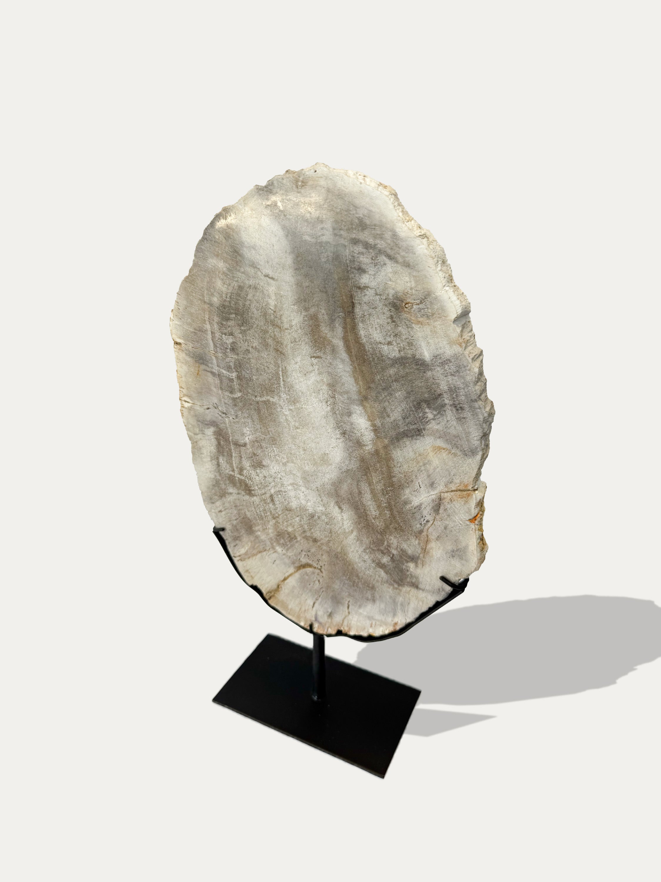 Versteinerte Holzskulptur und Tablett