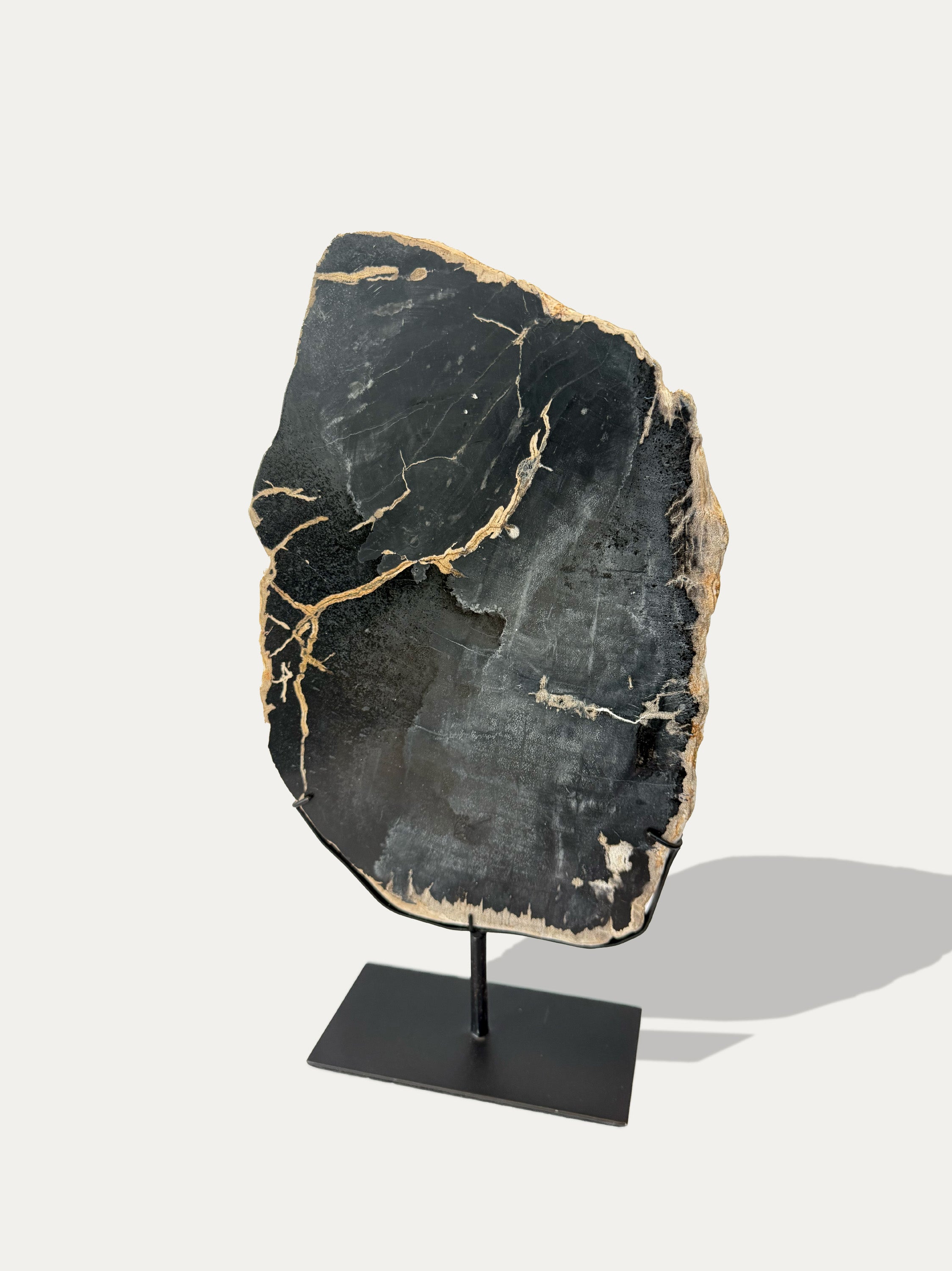 Scultura e Vassoio in Legno Pietrificato