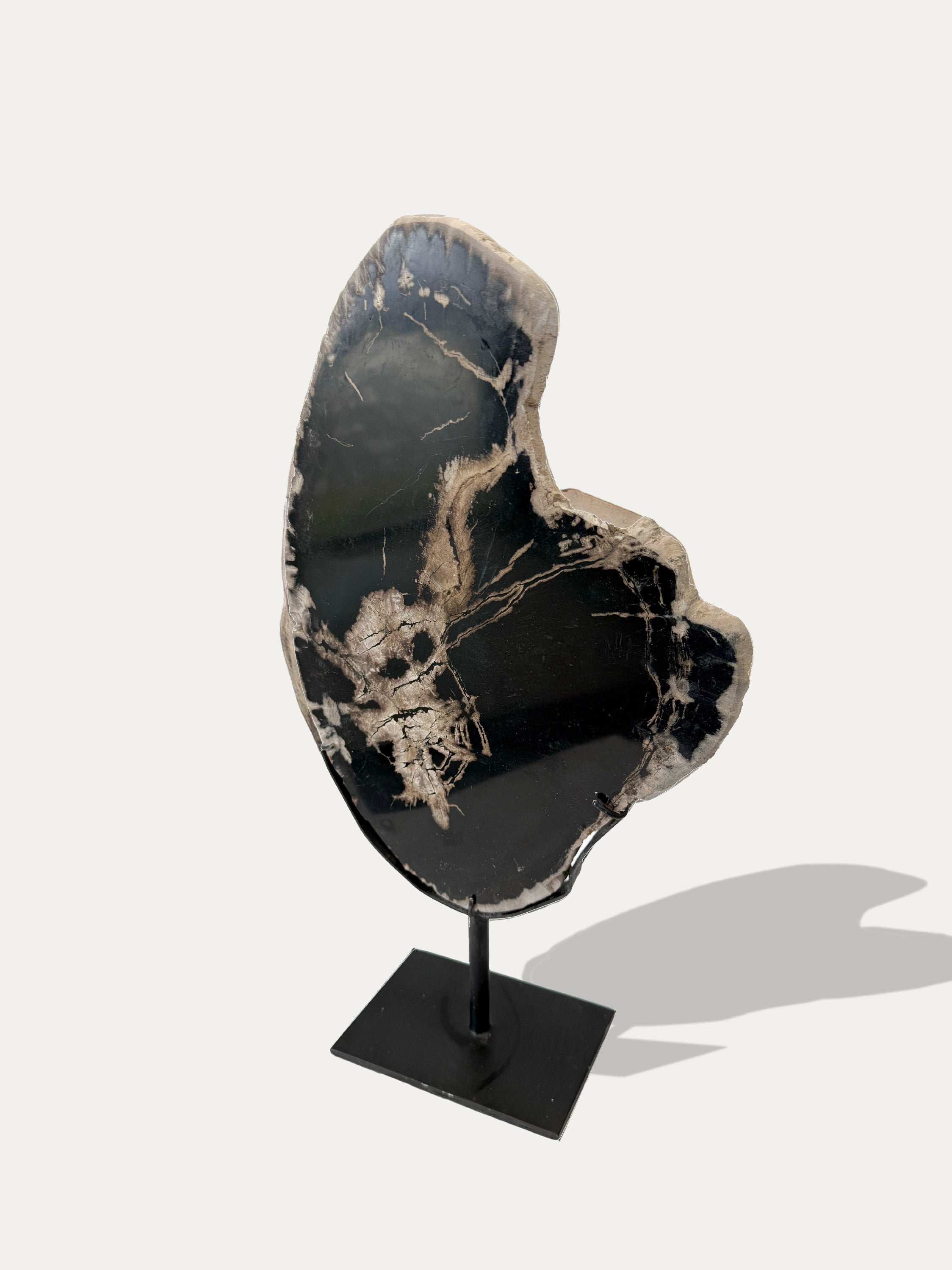 Scultura e Vassoio in Legno Pietrificato