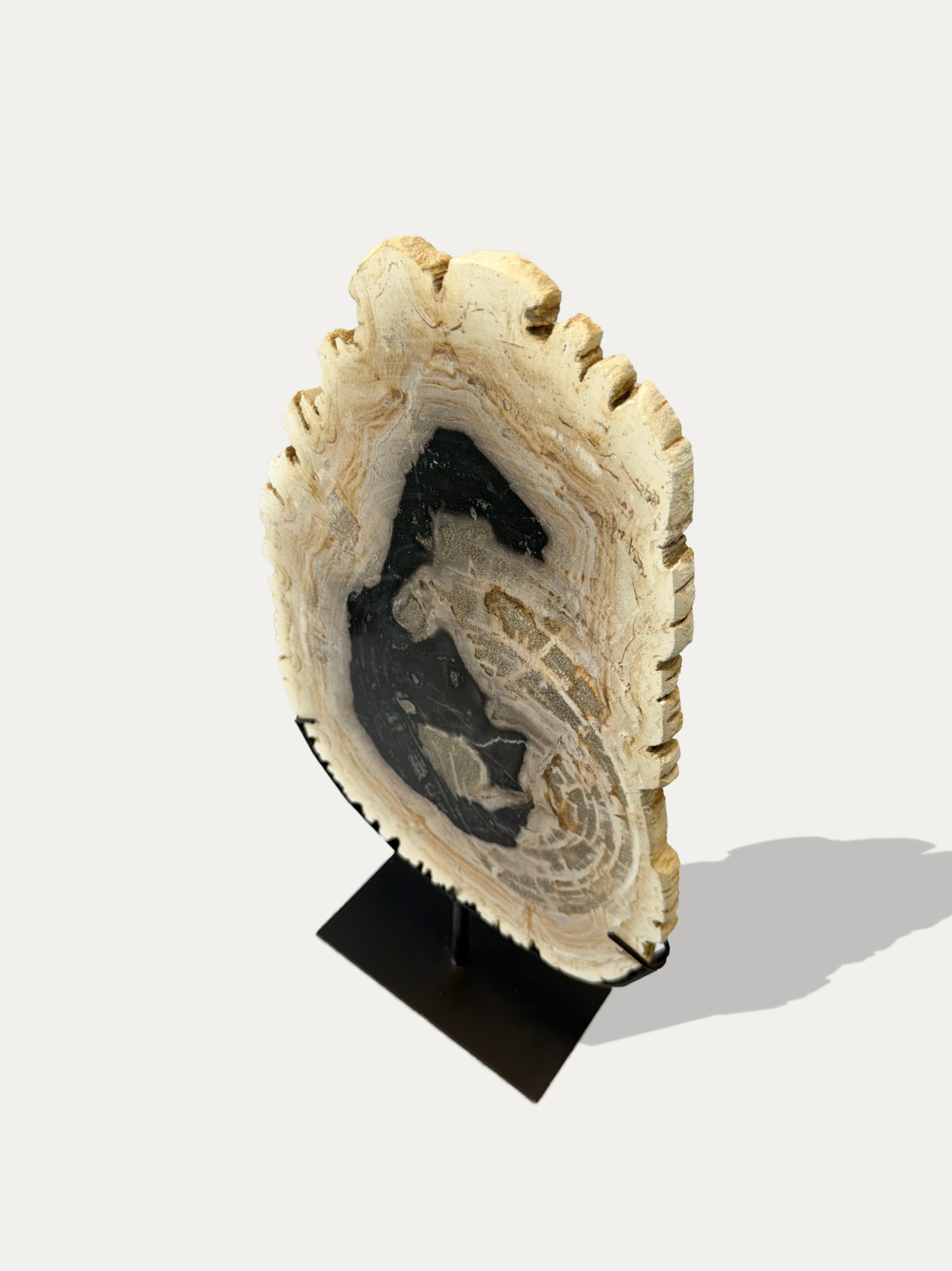 Escultura y bandeja de madera petrificada