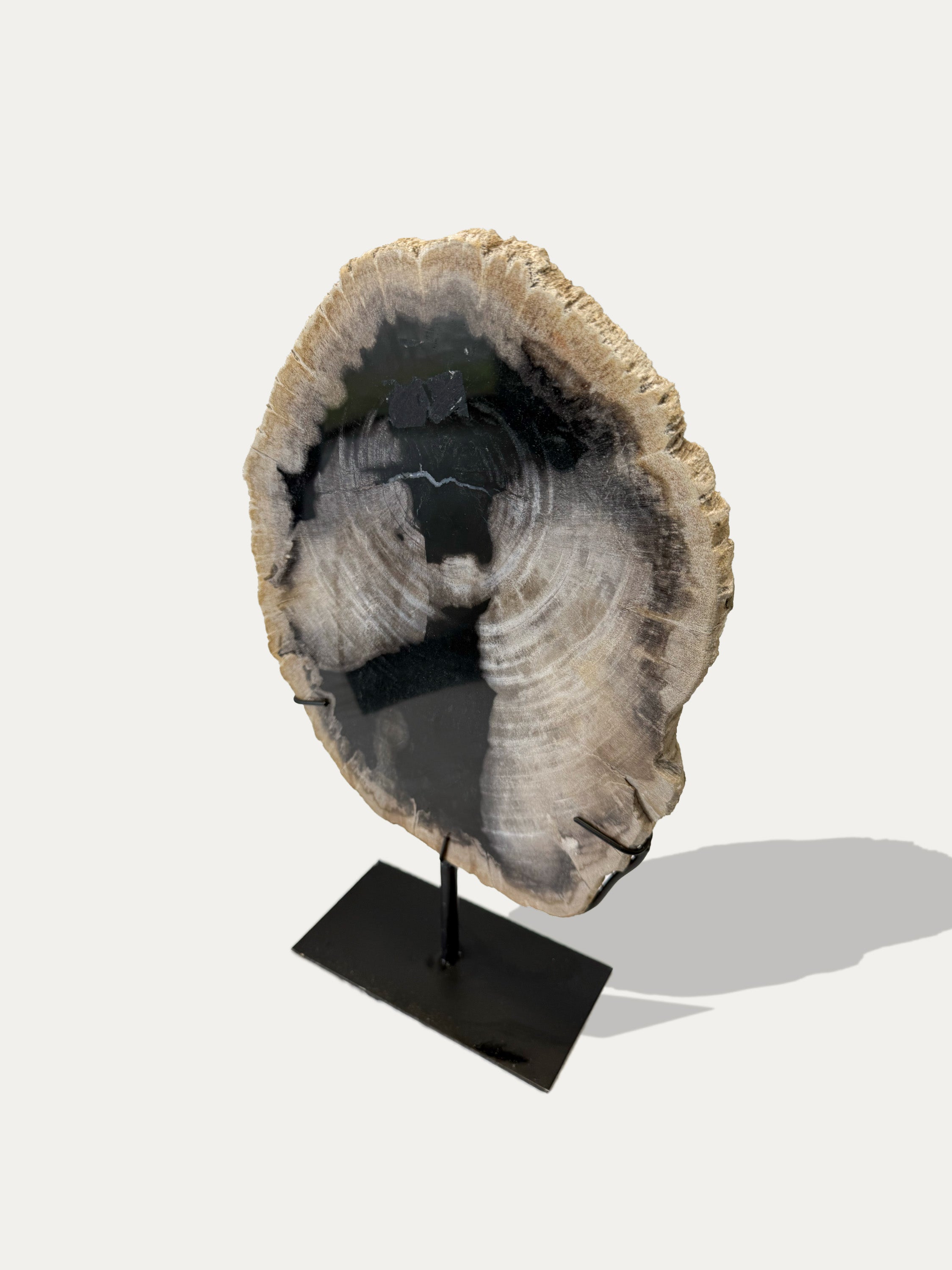 Scultura e Vassoio in Legno Pietrificato