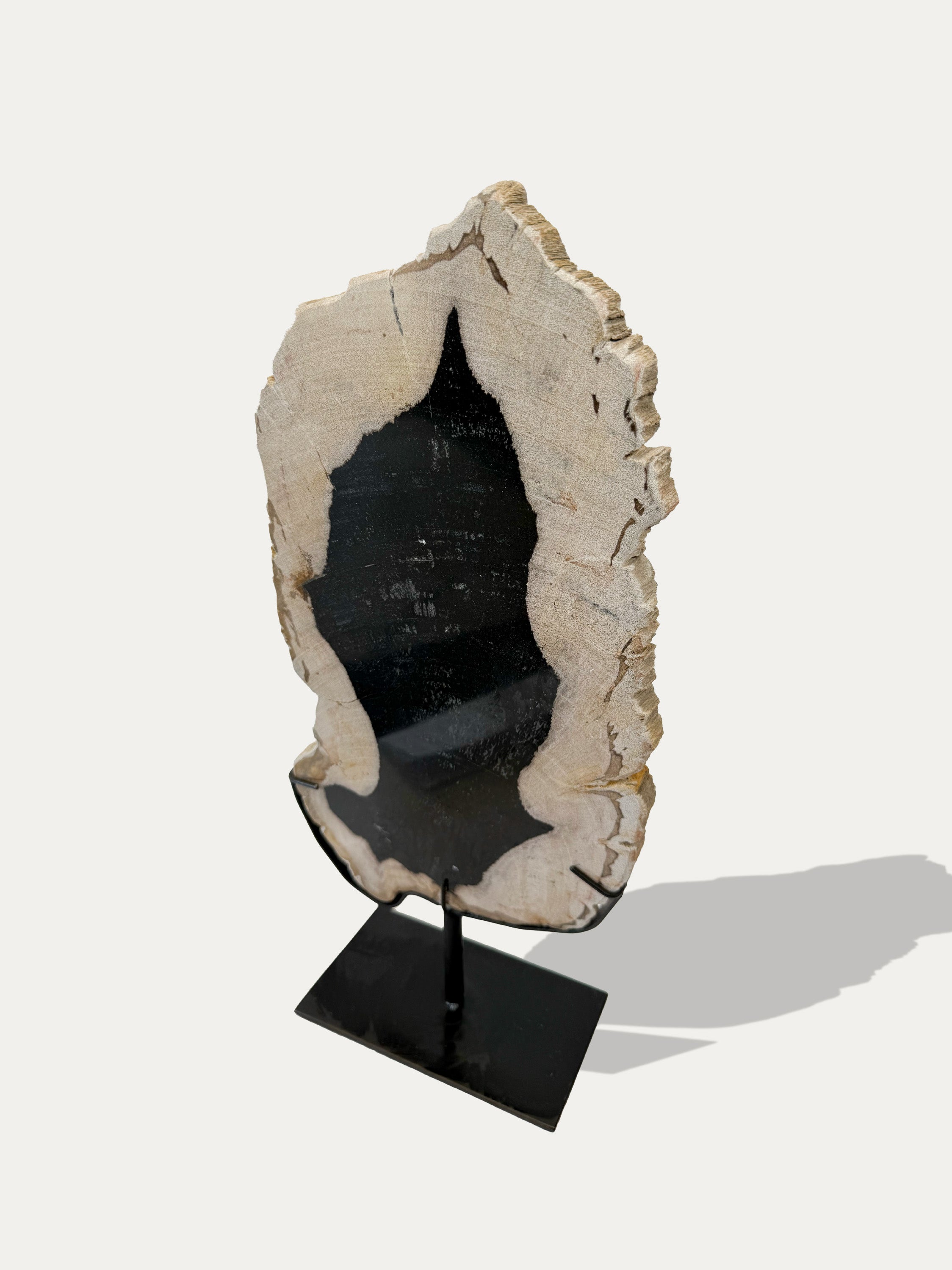 Sculpture et plateau en bois pétrifié