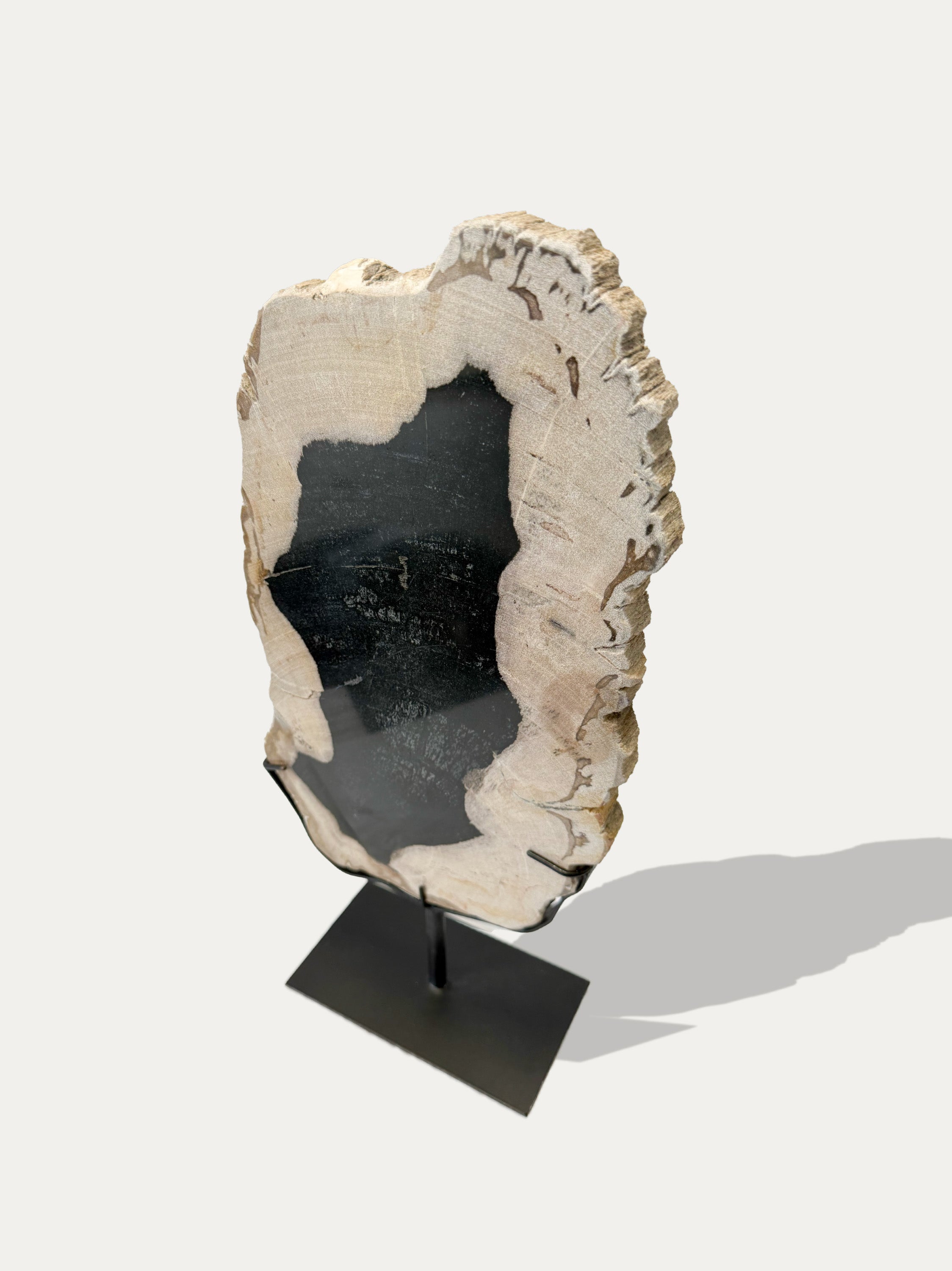 Scultura e Vassoio in Legno Pietrificato