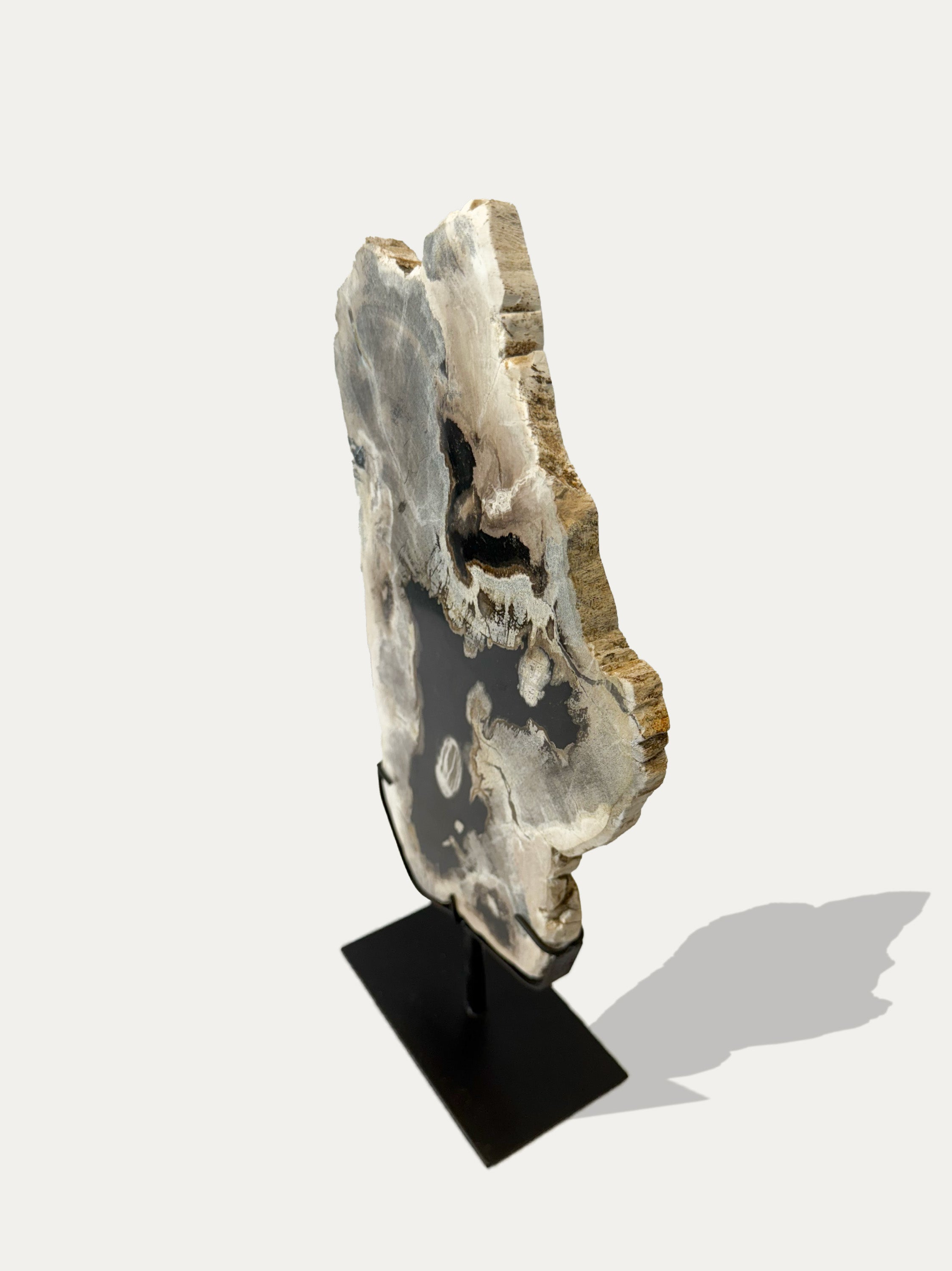 Scultura e Vassoio in Legno Pietrificato