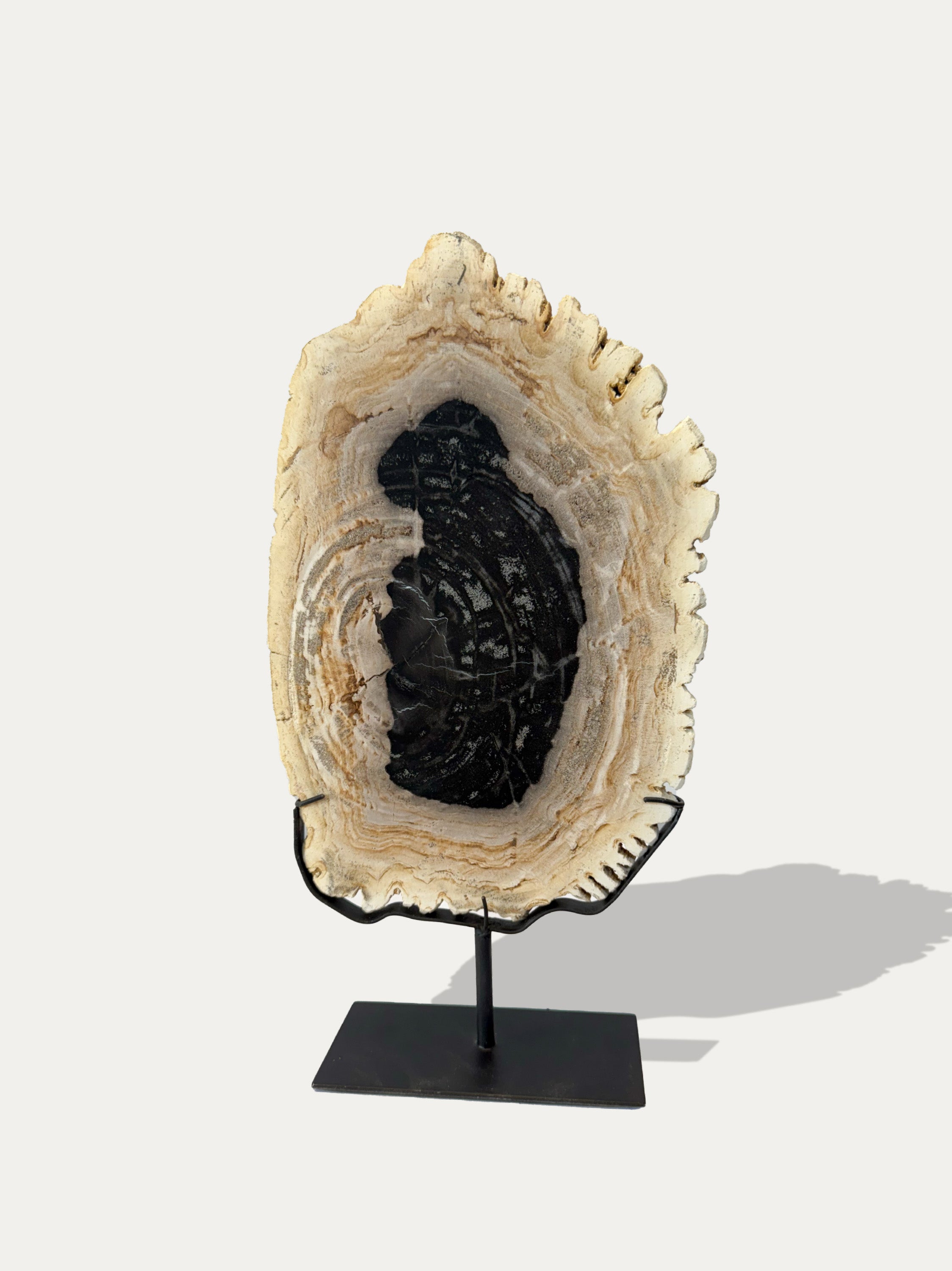 Scultura e Vassoio in Legno Pietrificato