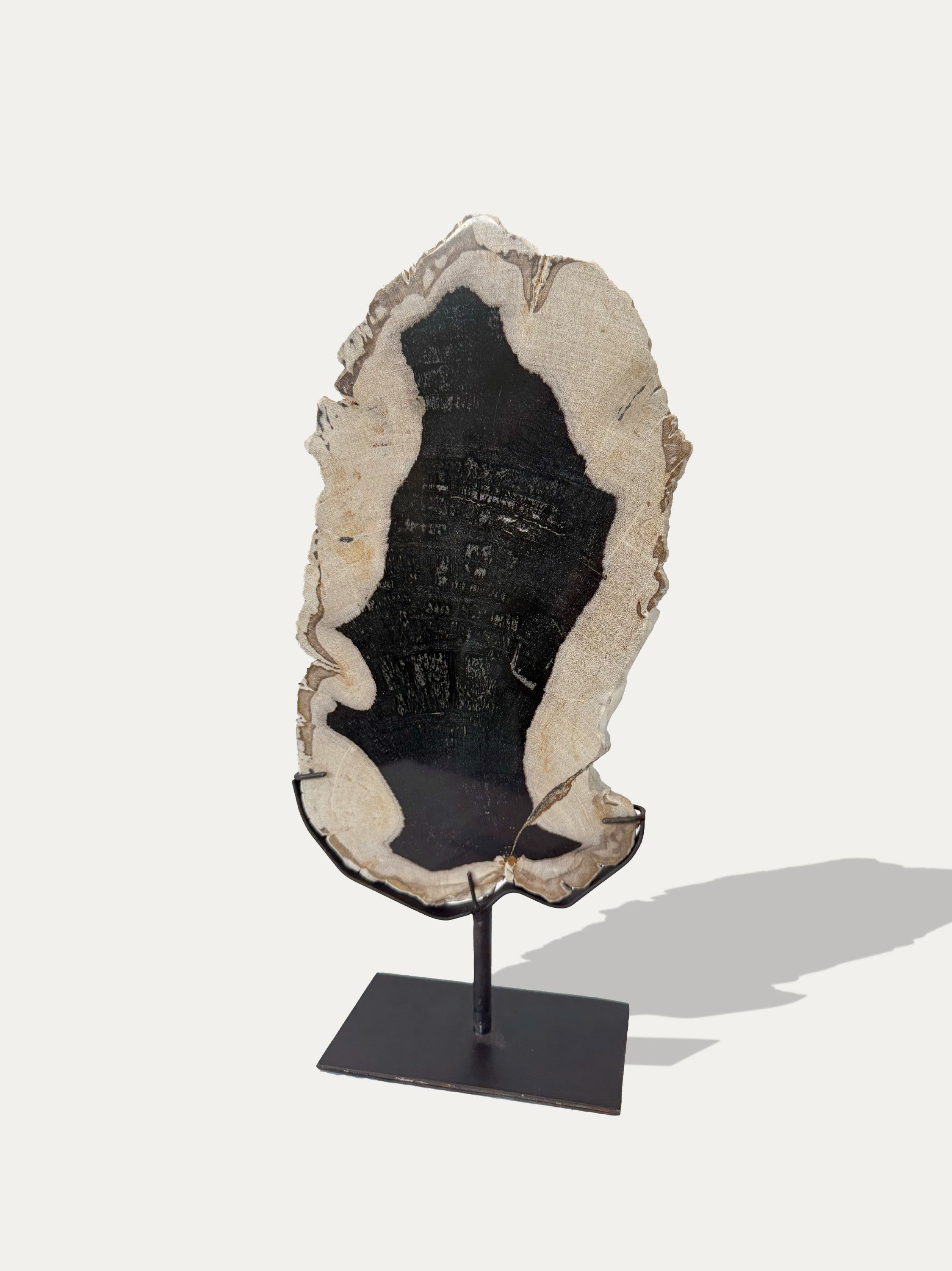 Versteinerte Holzskulptur und Tablett