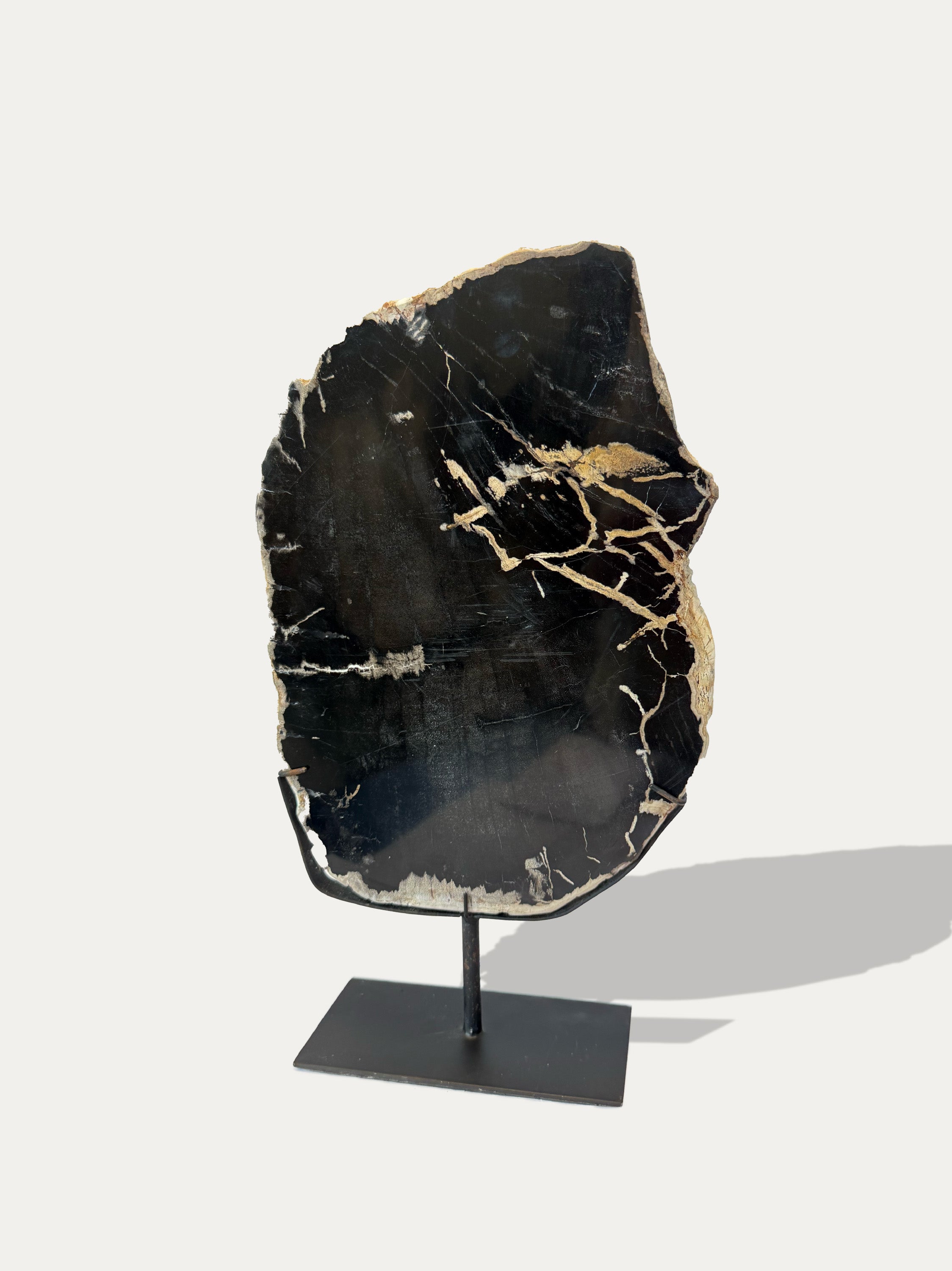 Escultura y bandeja de madera petrificada