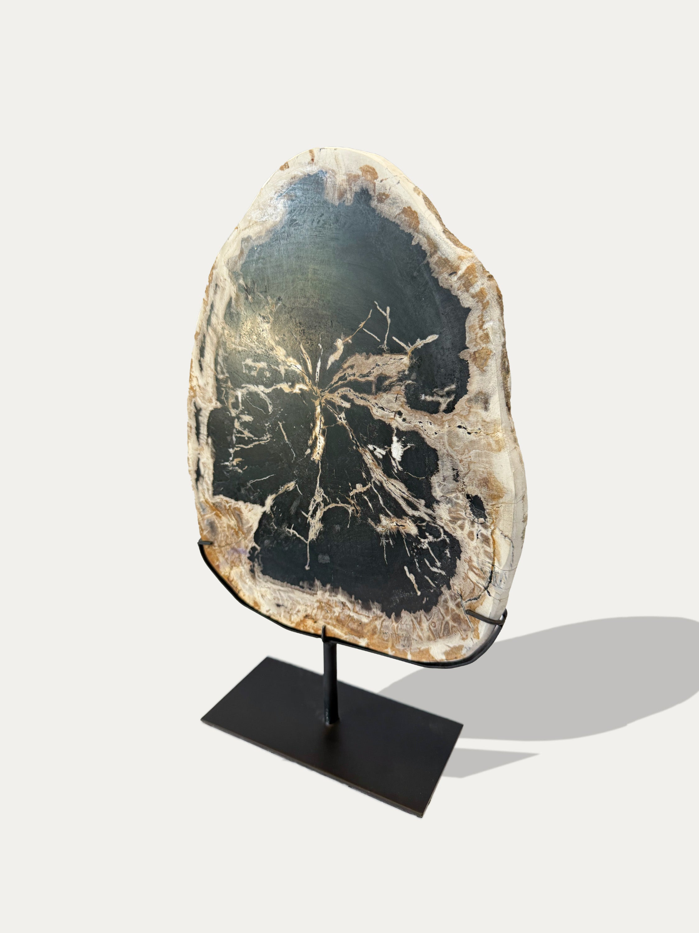 Scultura e Vassoio in Legno Pietrificato