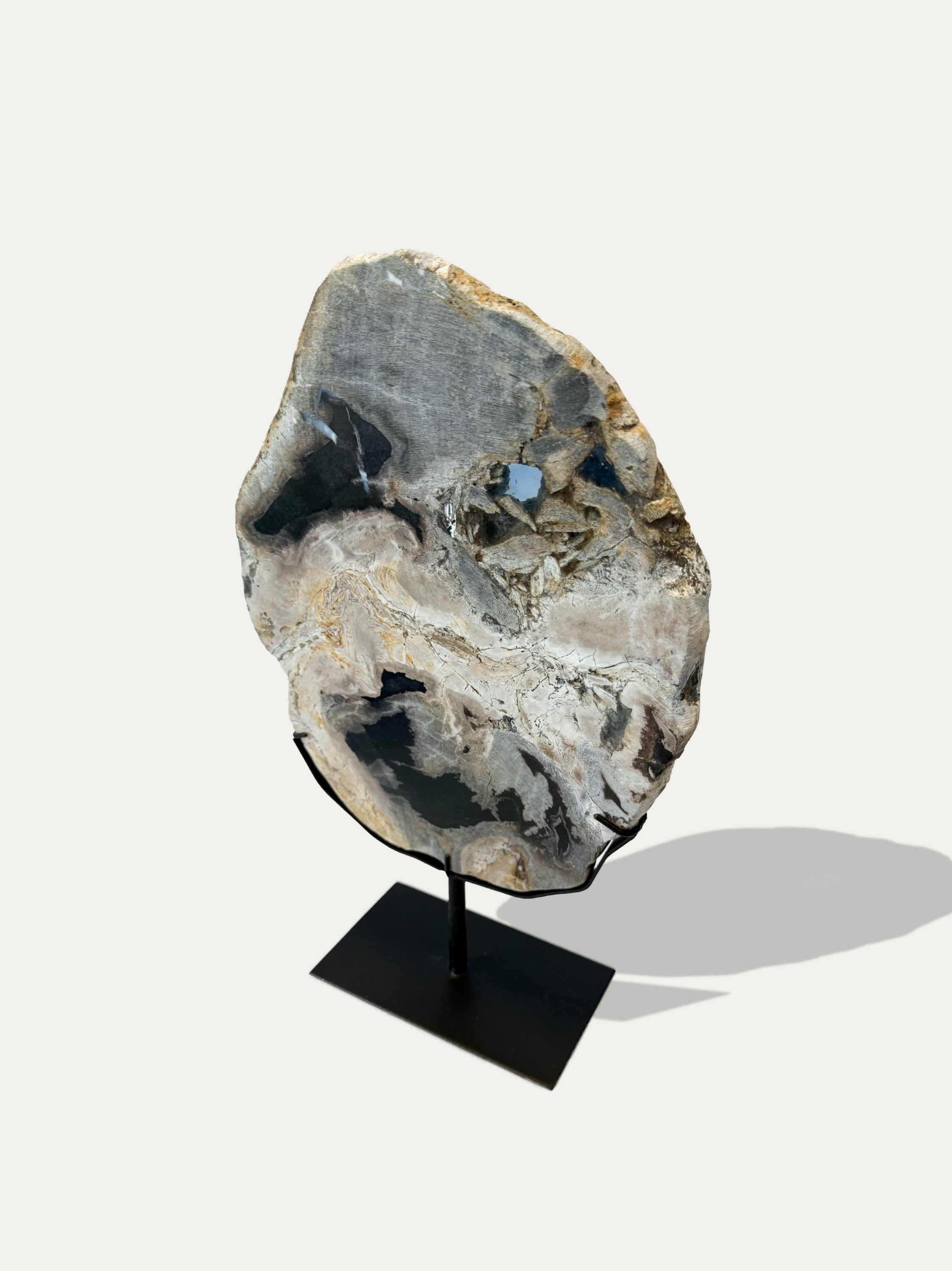 Versteinerte Holzskulptur und Tablett