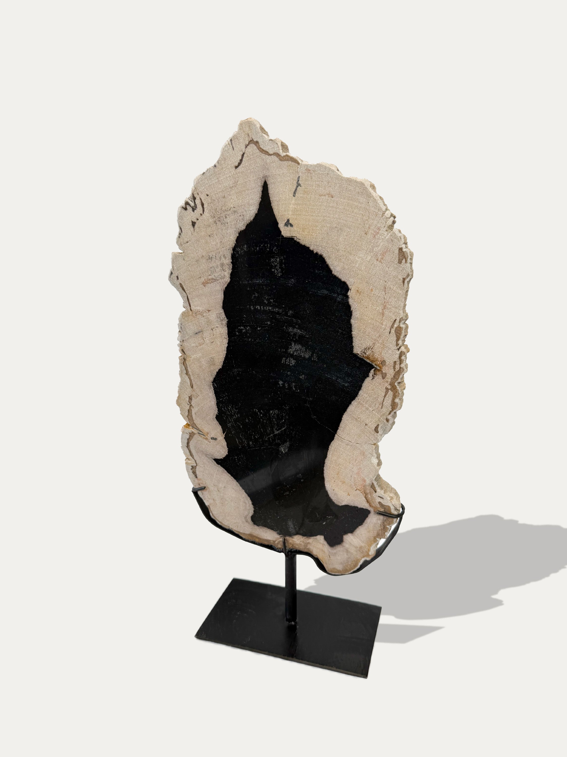 Scultura e Vassoio in Legno Pietrificato