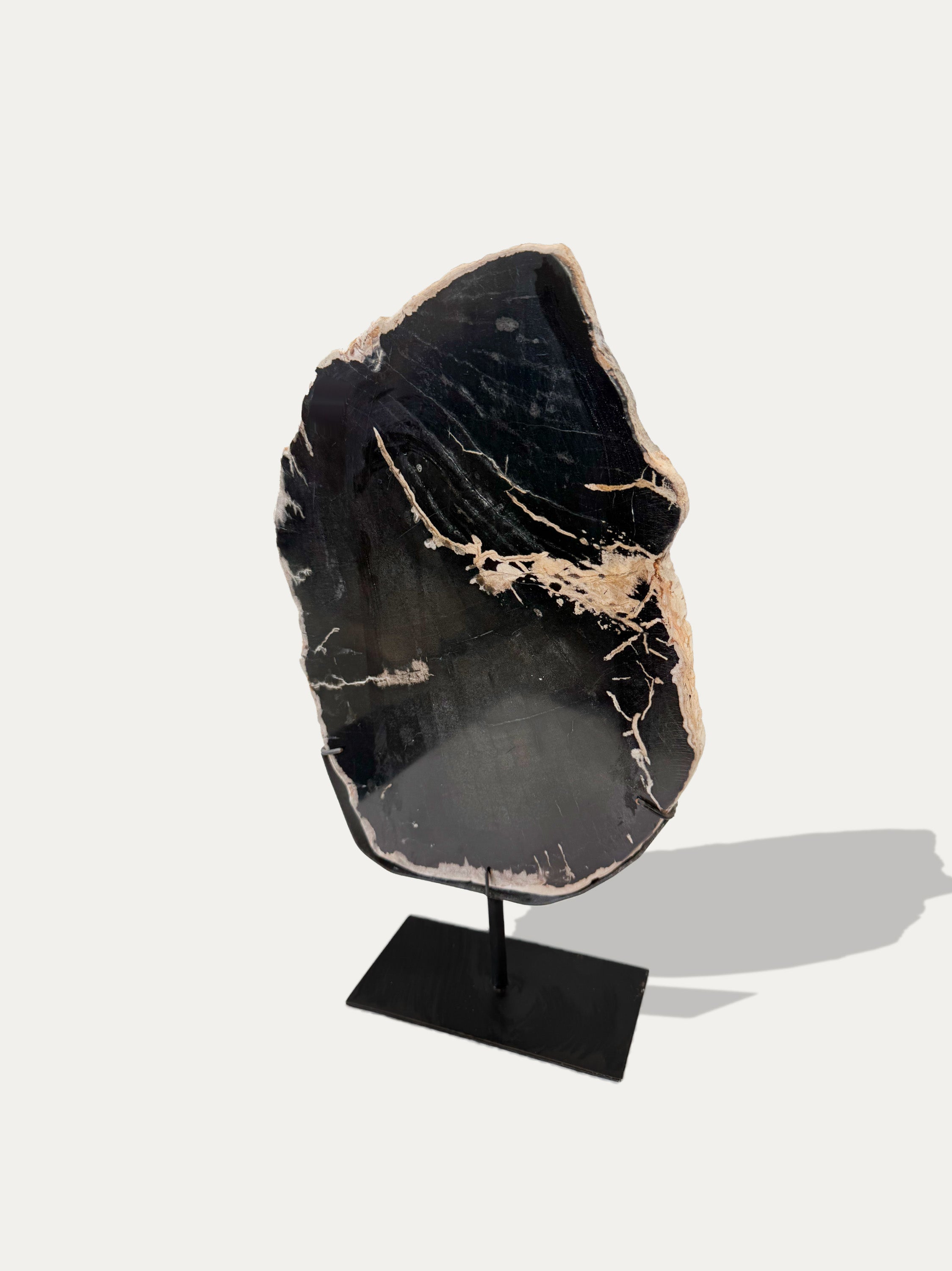 Petrified Wood Sculpture and Tray
