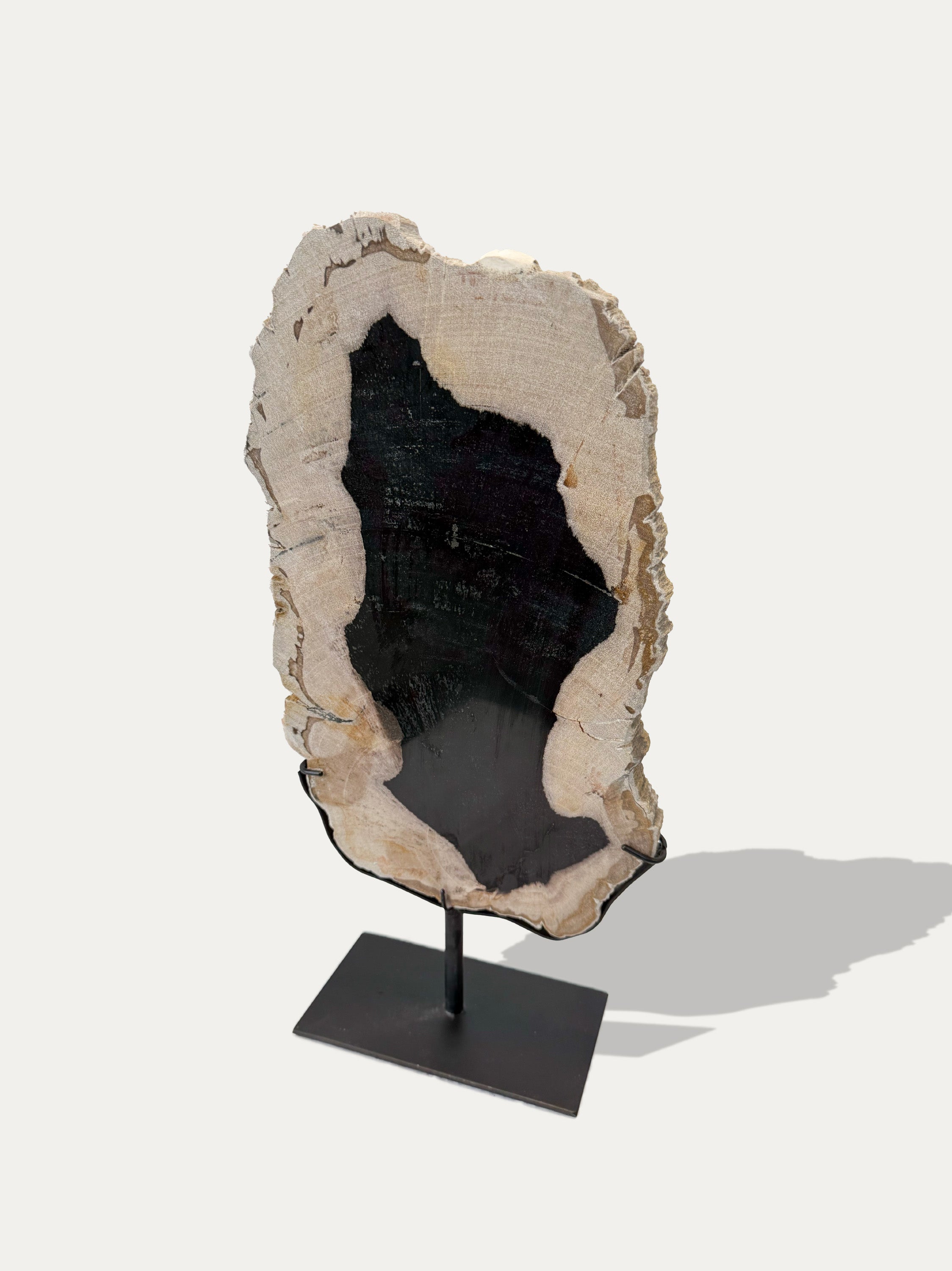 Sculpture et plateau en bois pétrifié