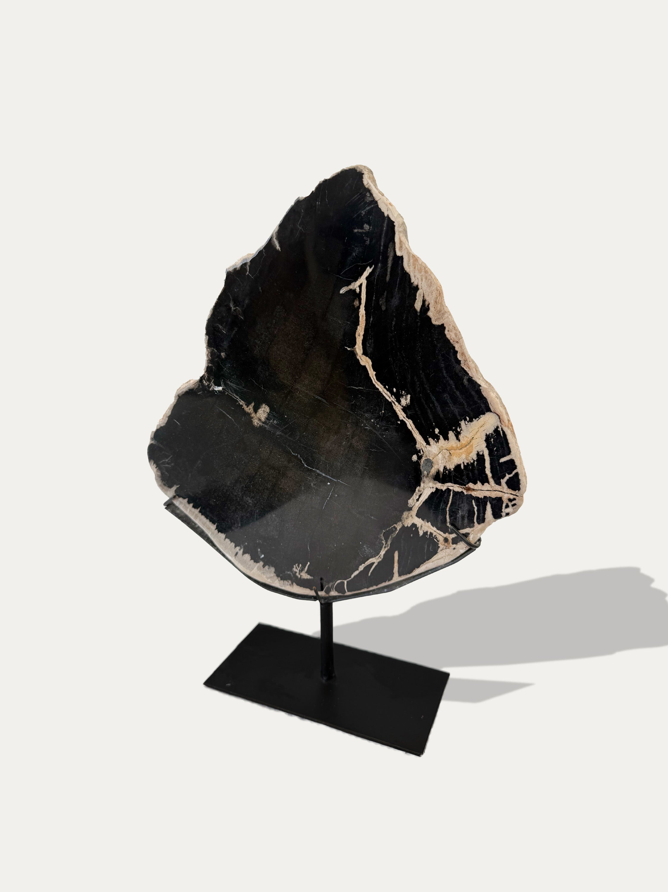 Scultura e Vassoio in Legno Pietrificato