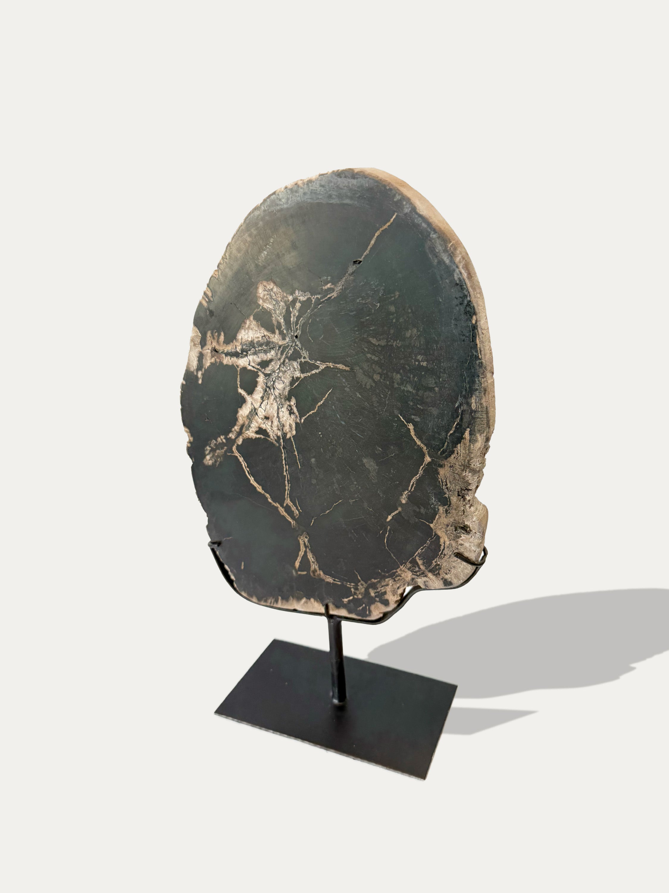 Scultura e Vassoio in Legno Pietrificato