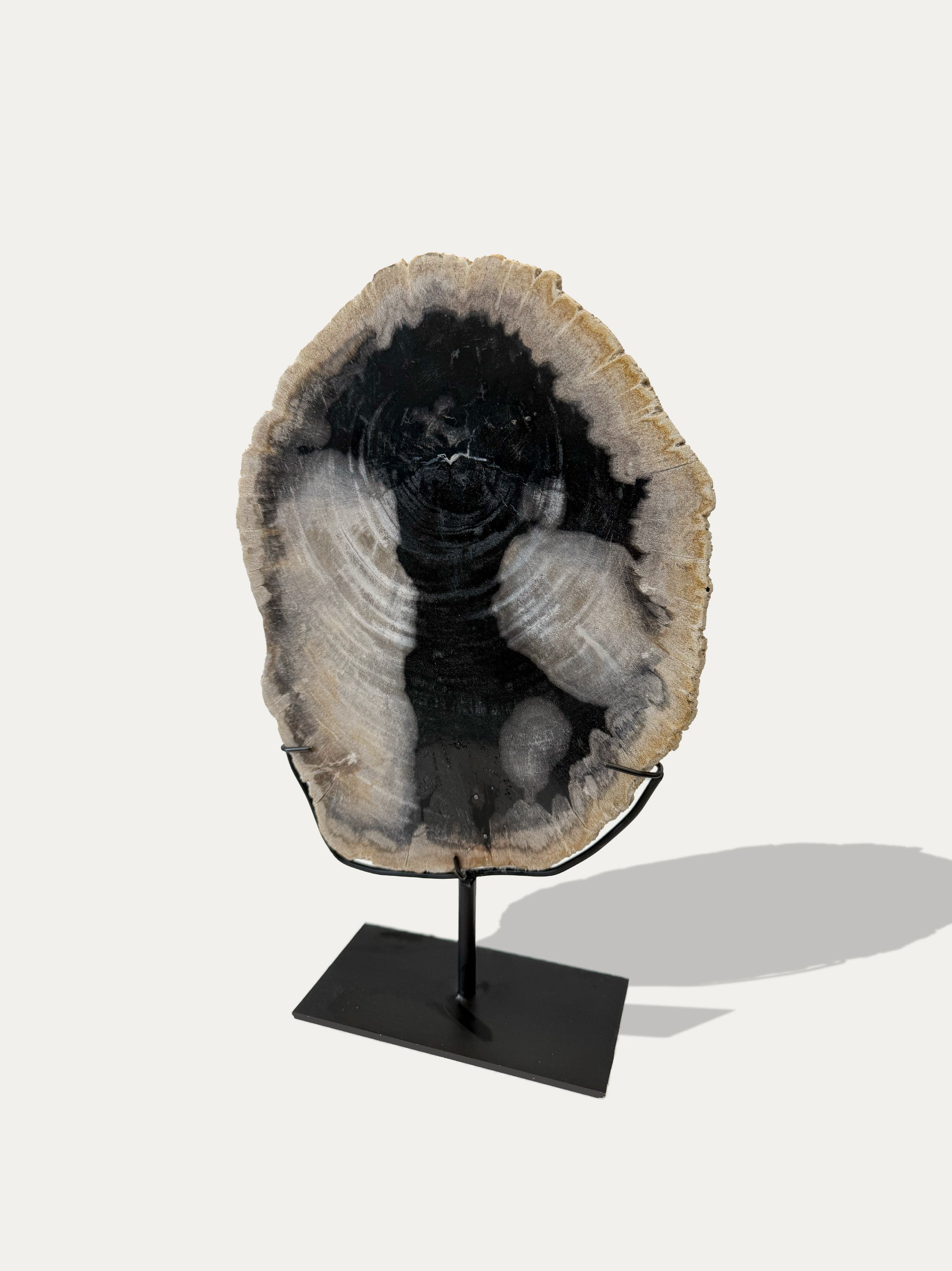 Petrified Wood Sculpture and Tray