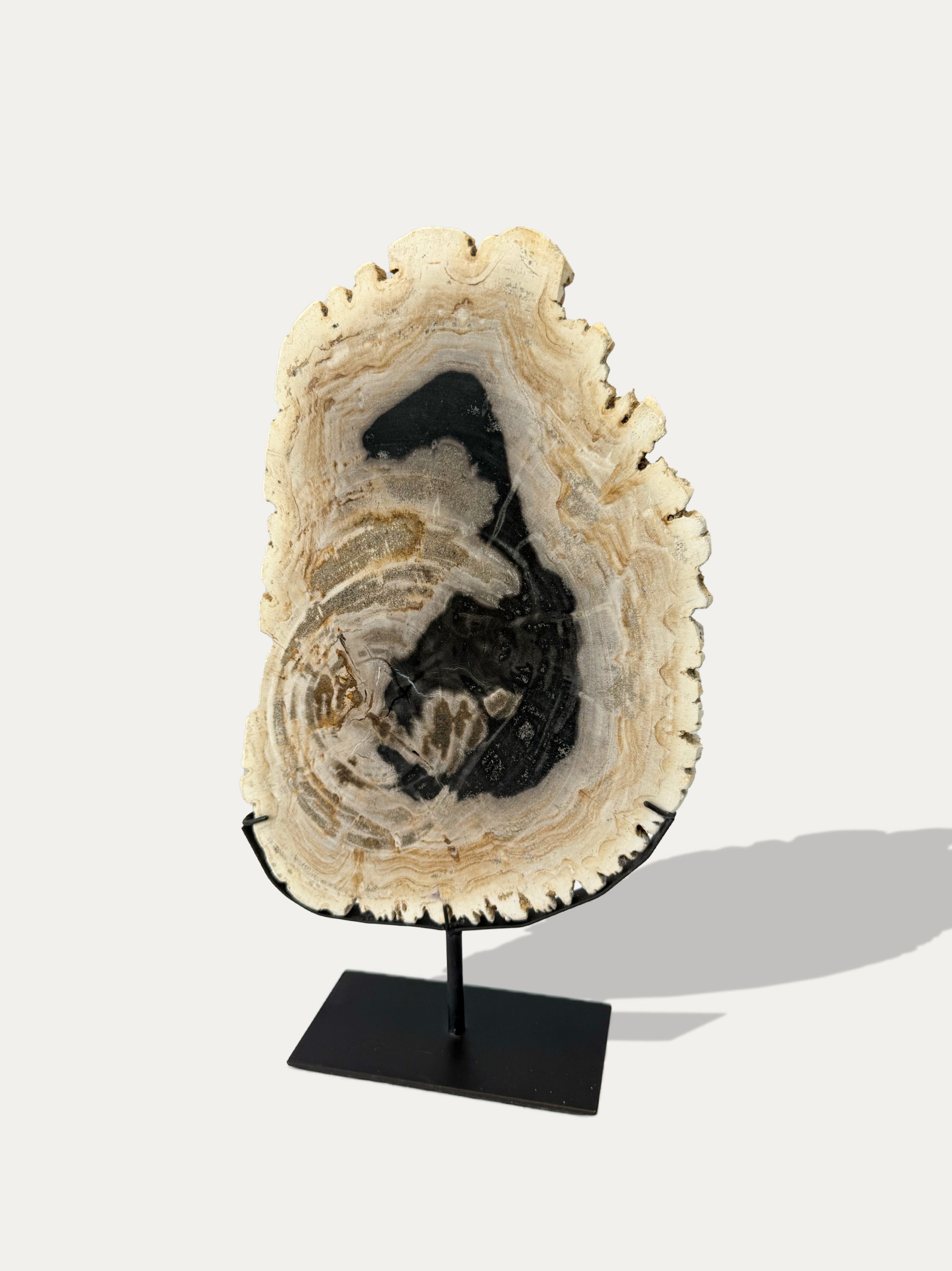 Scultura e Vassoio in Legno Pietrificato