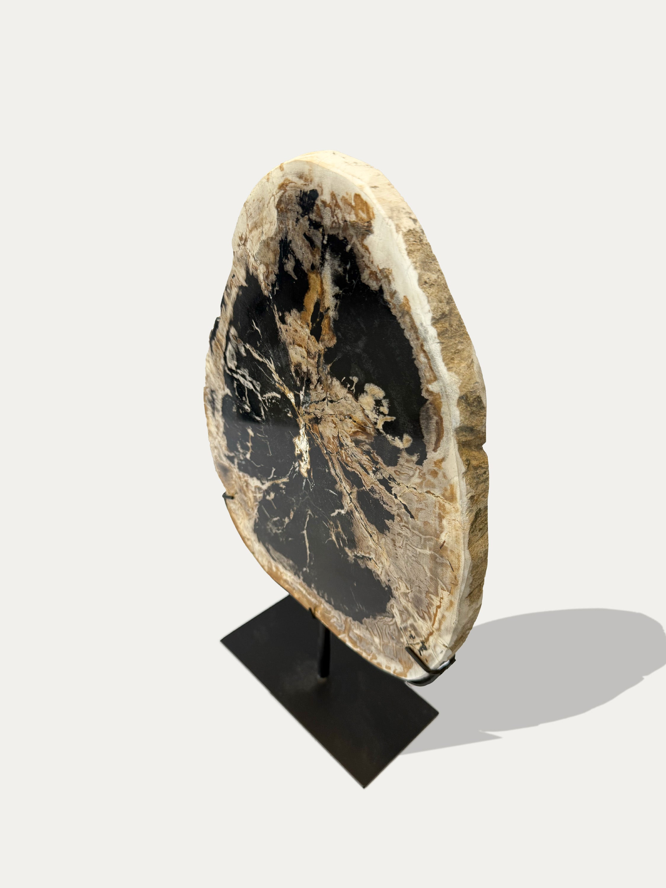 Escultura y bandeja de madera petrificada