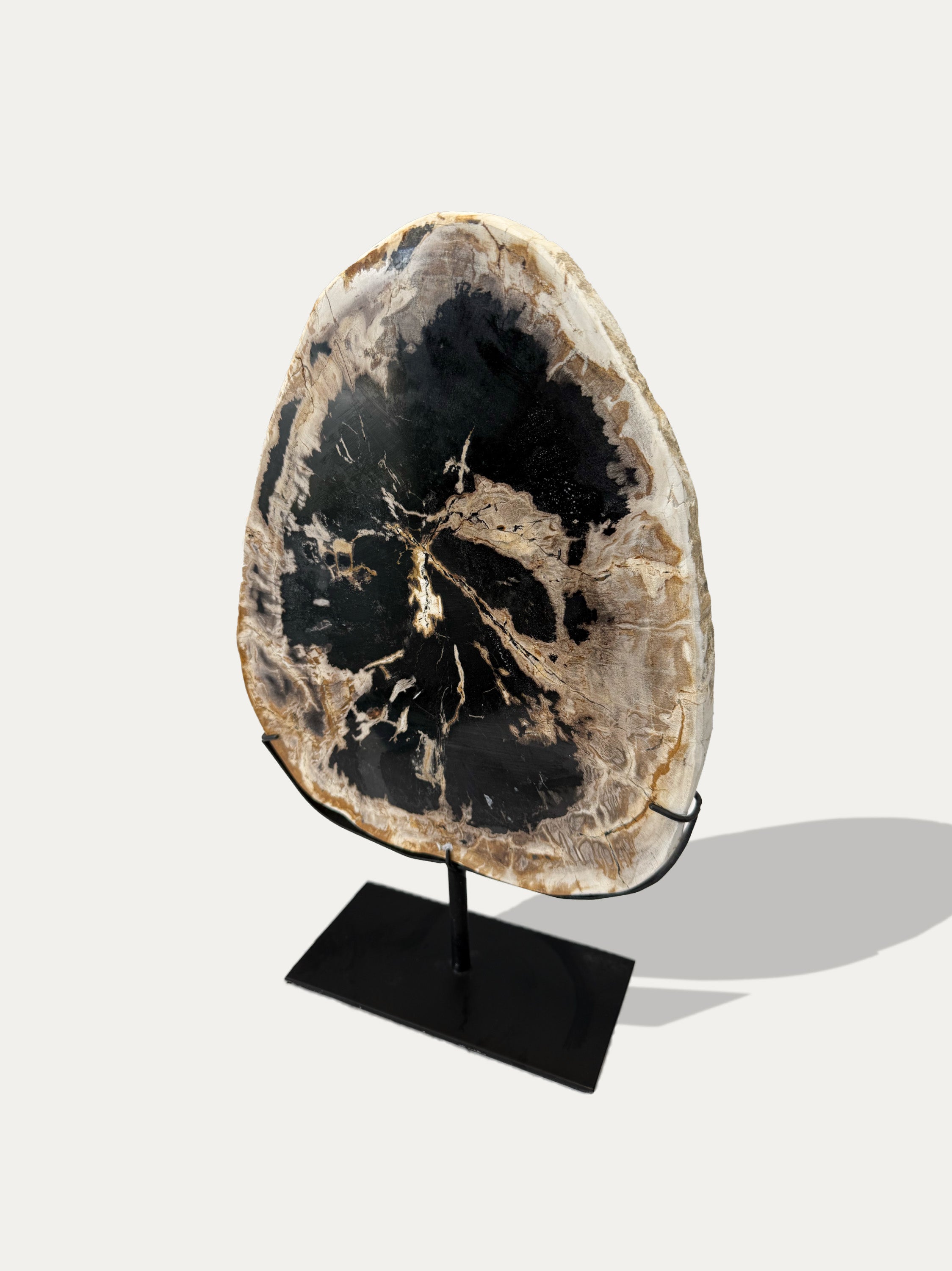Petrified Wood Sculpture and Tray
