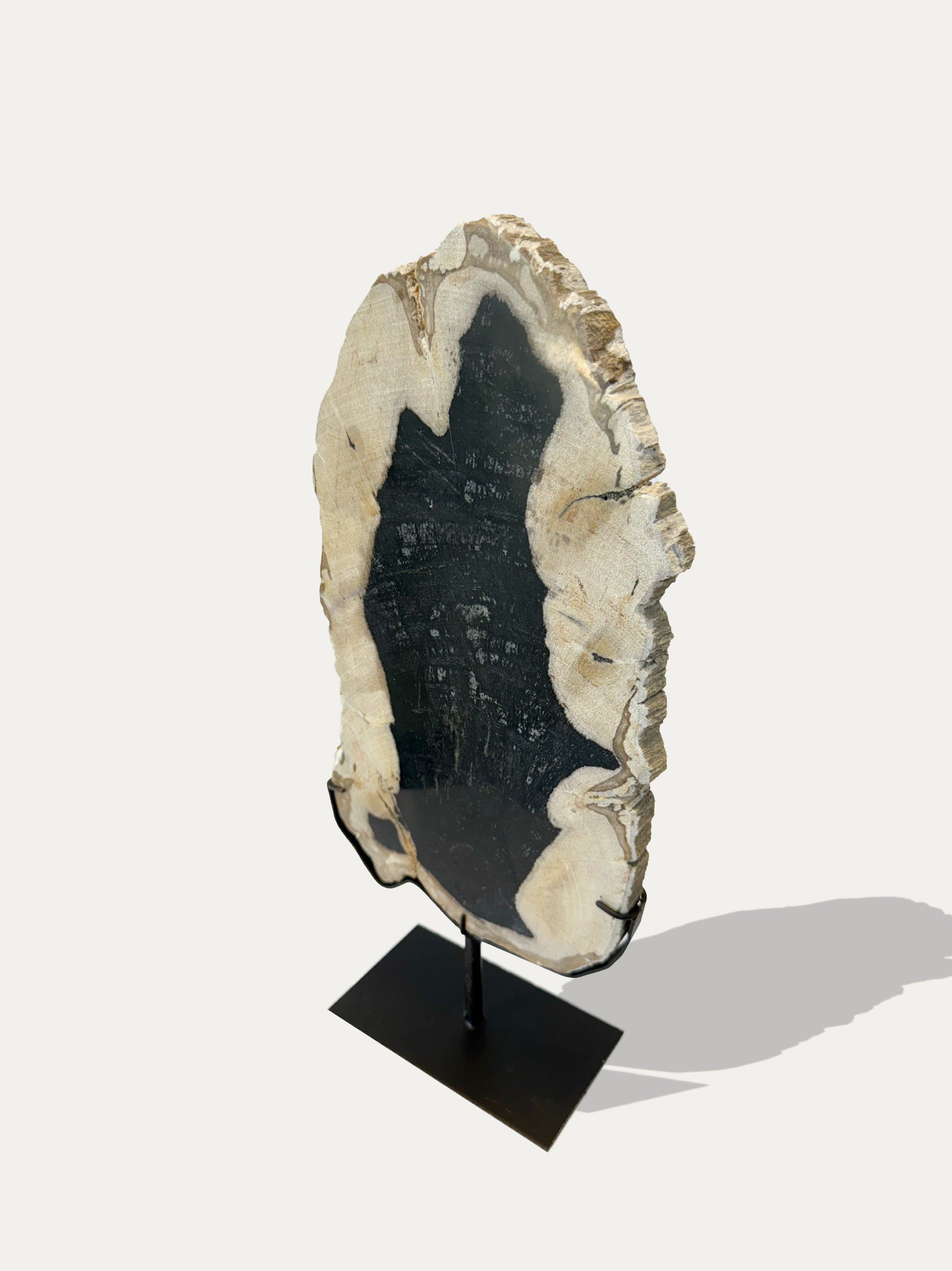 Versteinerte Holzskulptur und Tablett