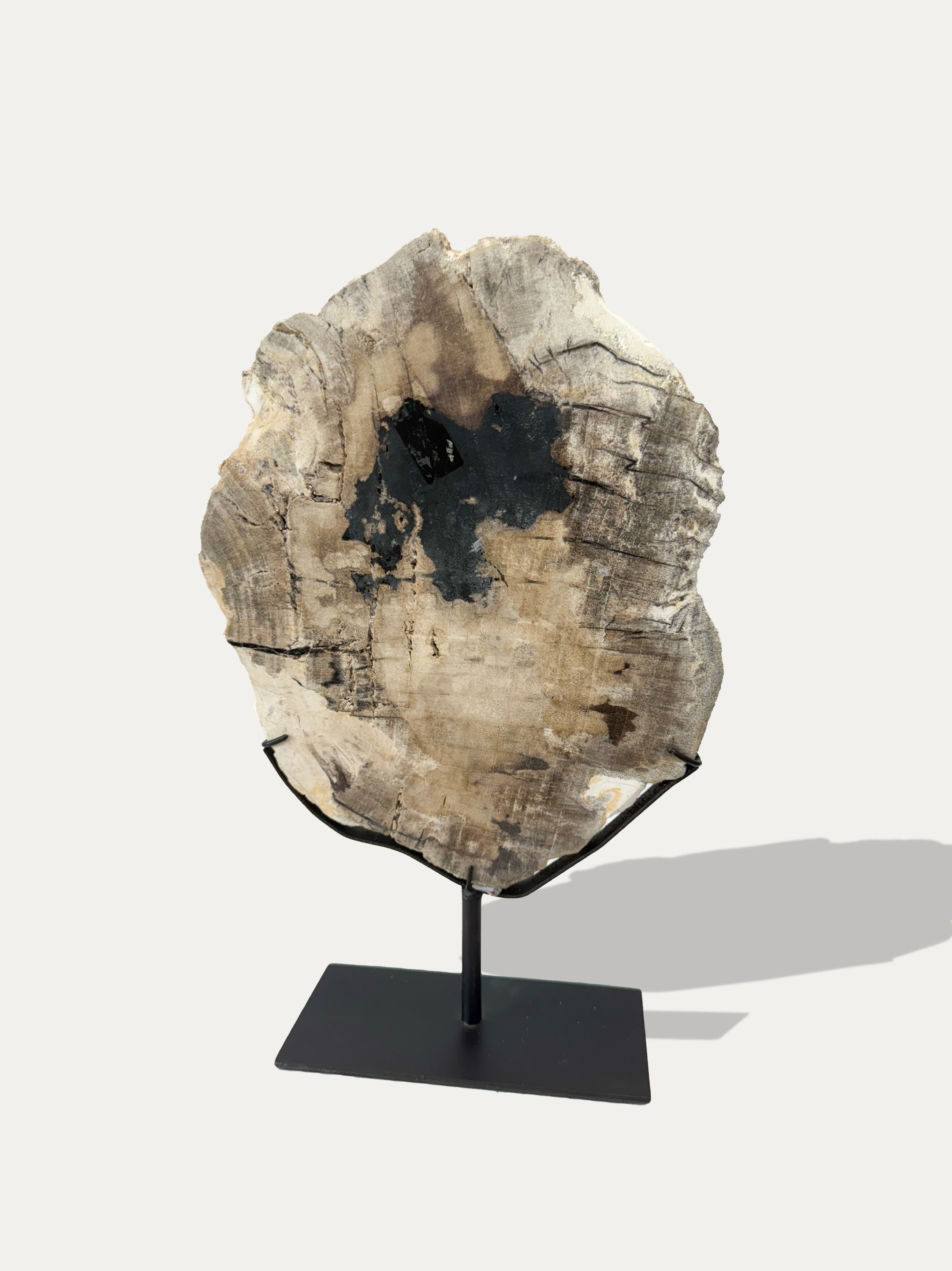 Versteinerte Holzskulptur und Tablett