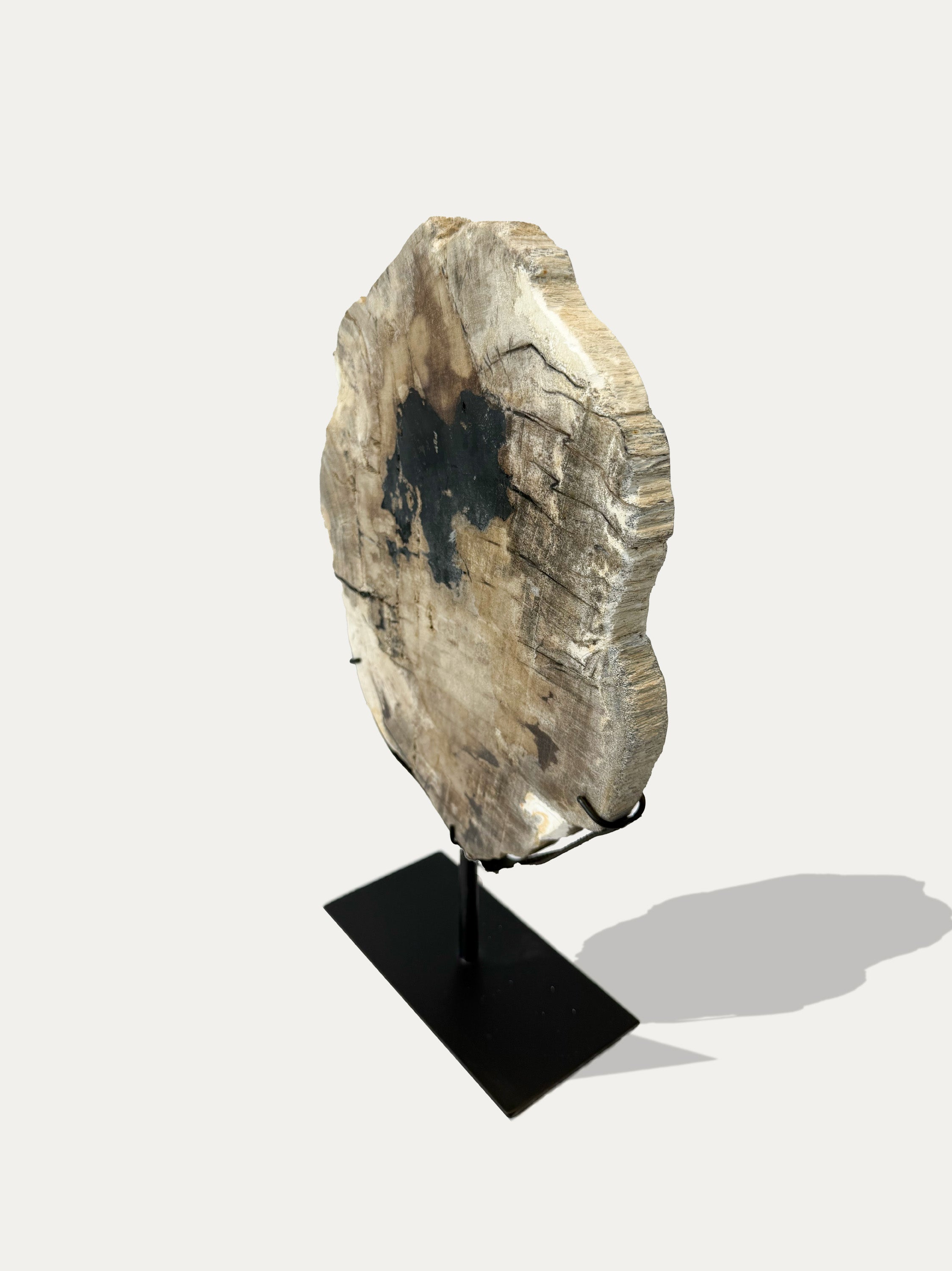 Scultura e Vassoio in Legno Pietrificato