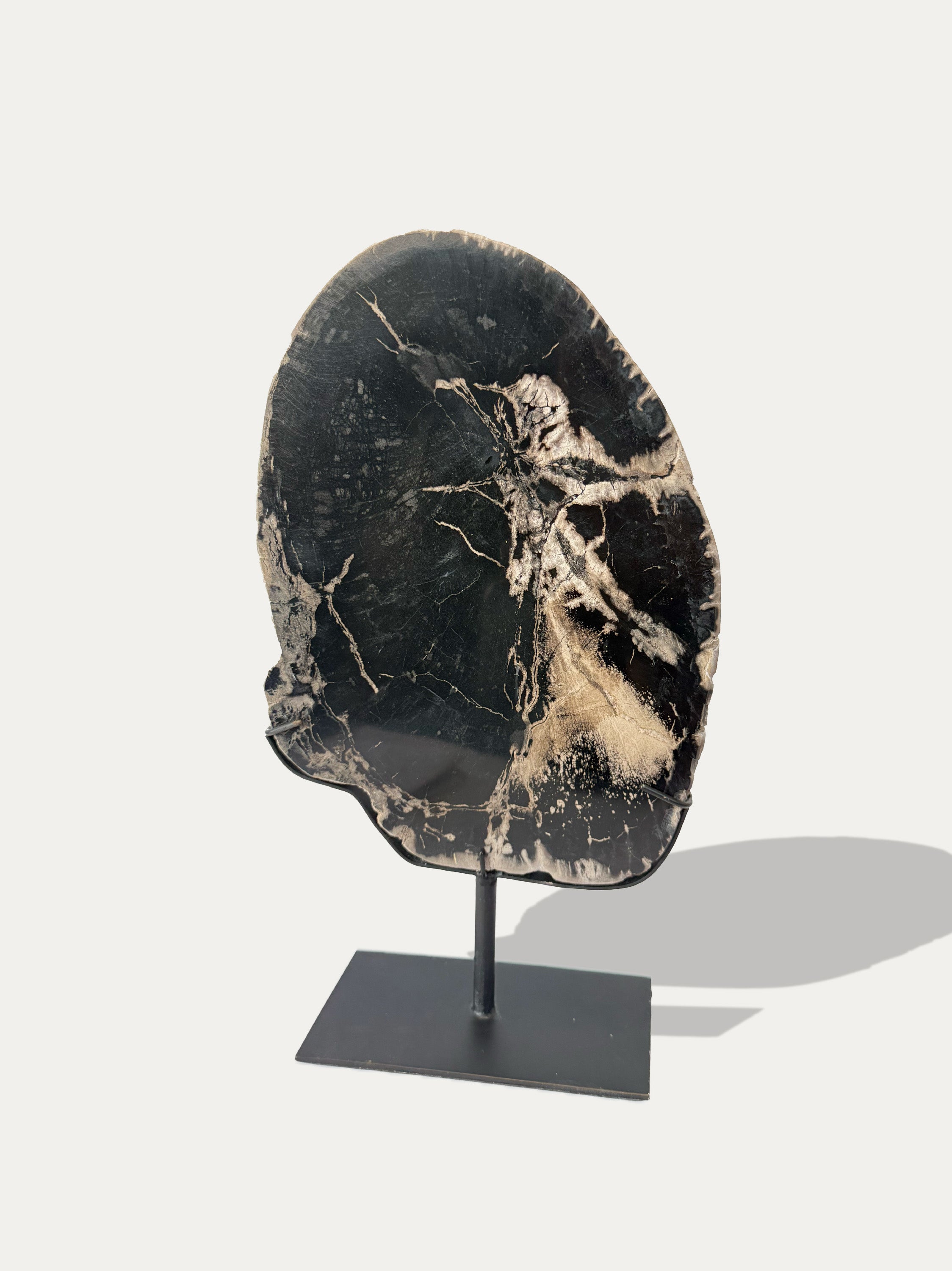 Scultura e Vassoio in Legno Pietrificato