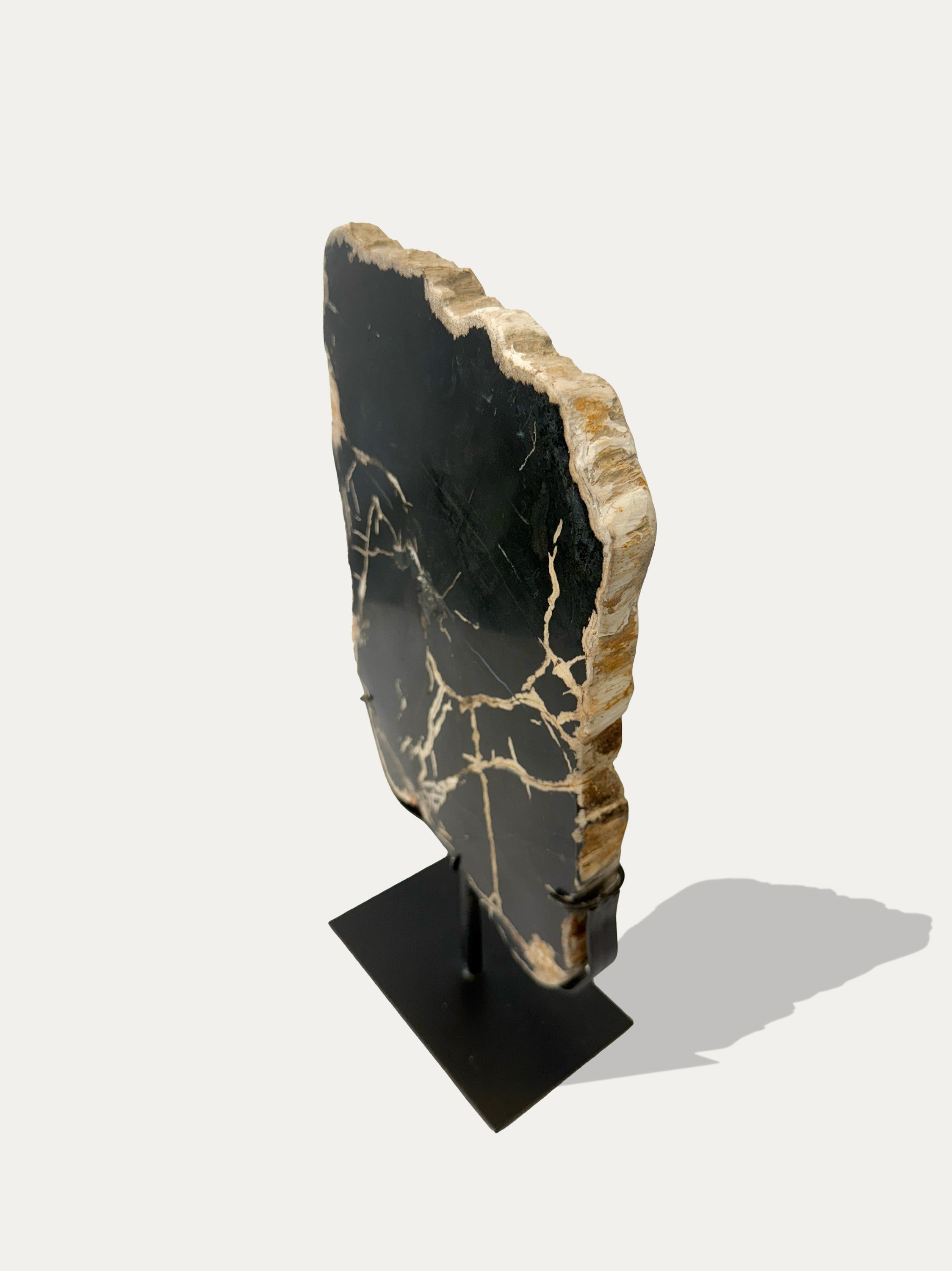 Escultura y bandeja de madera petrificada