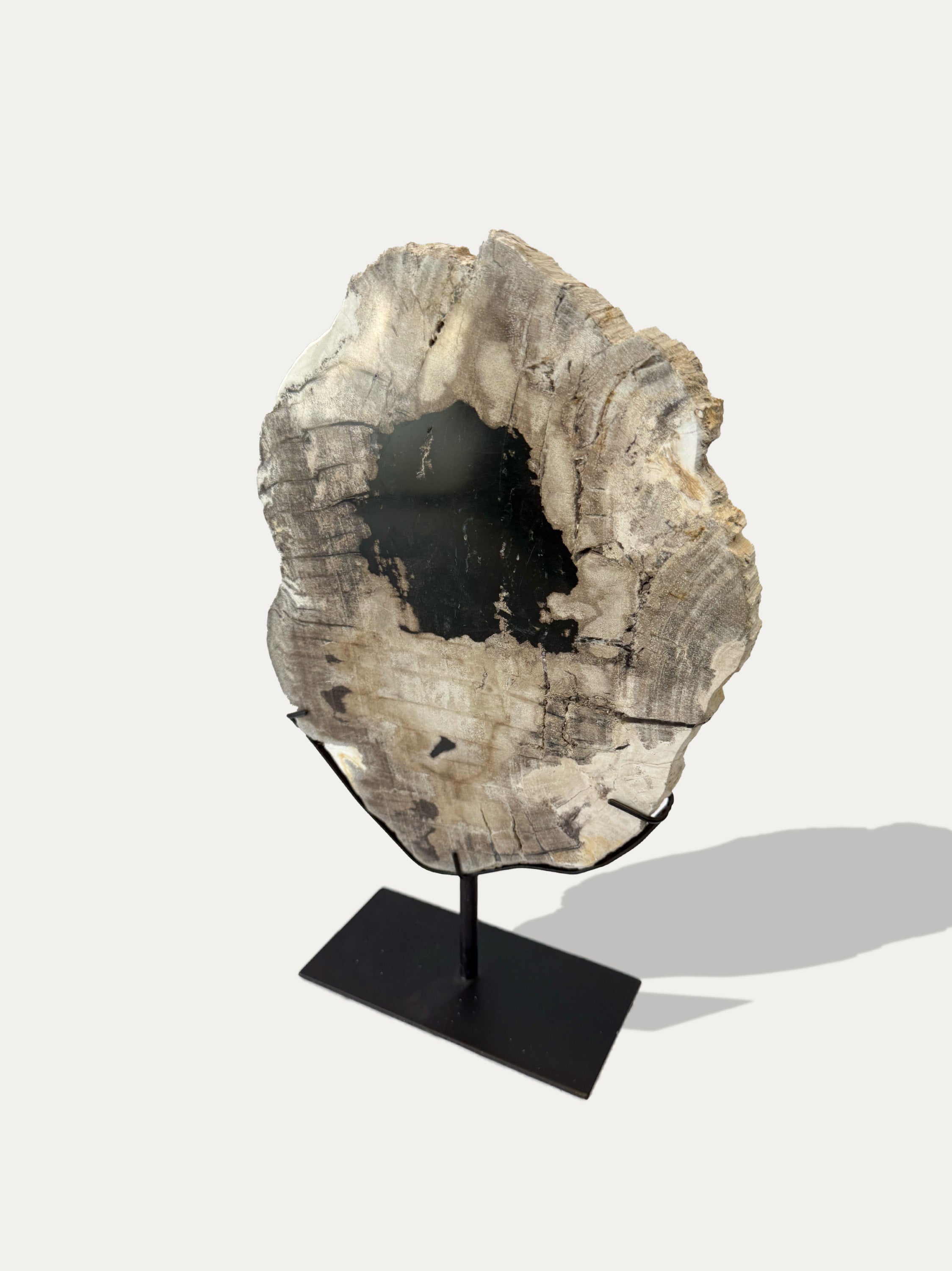 Scultura e Vassoio in Legno Pietrificato