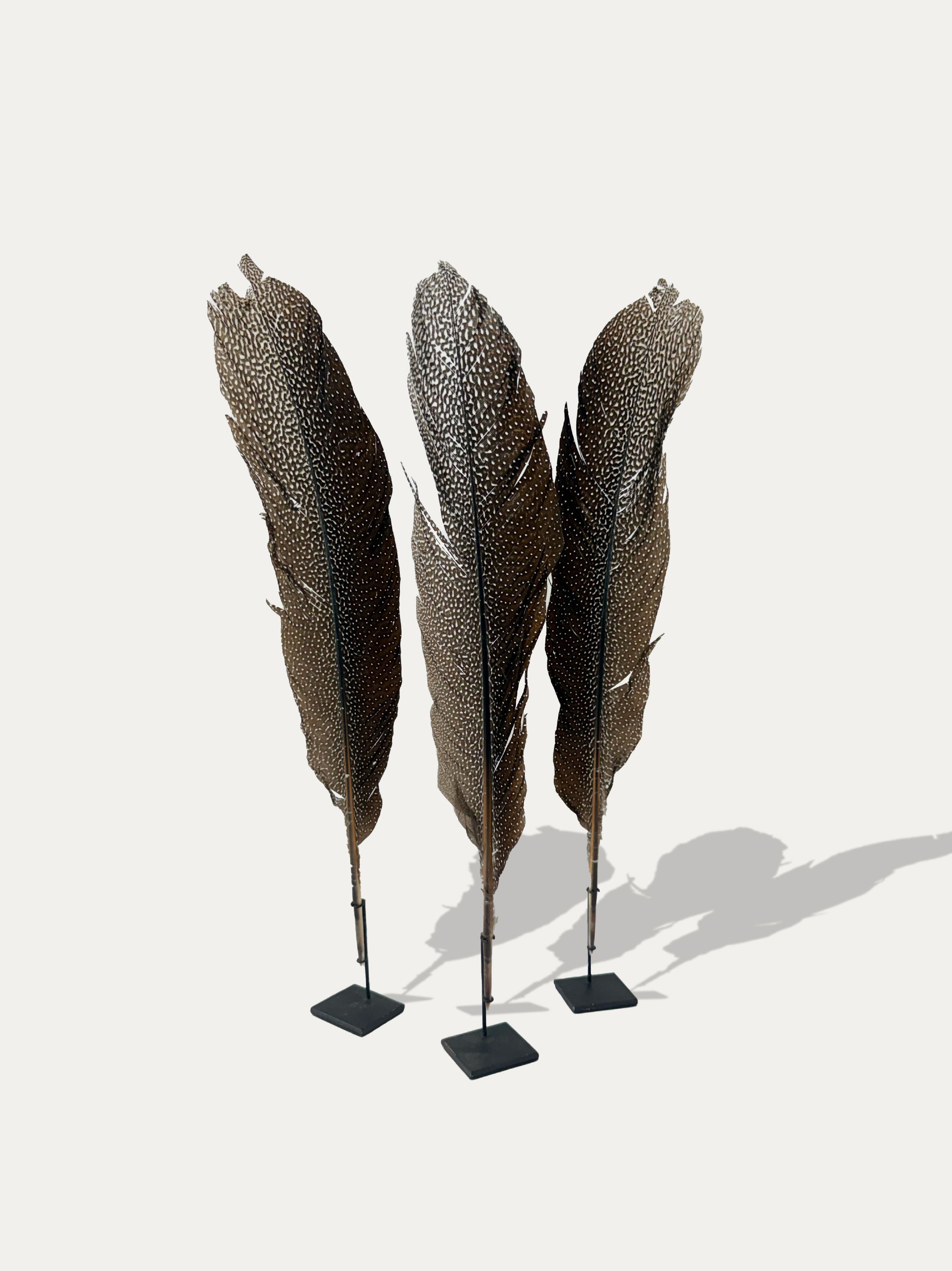 natural-peacock-feathers-indonesian-tribal-home-decor-kirschon