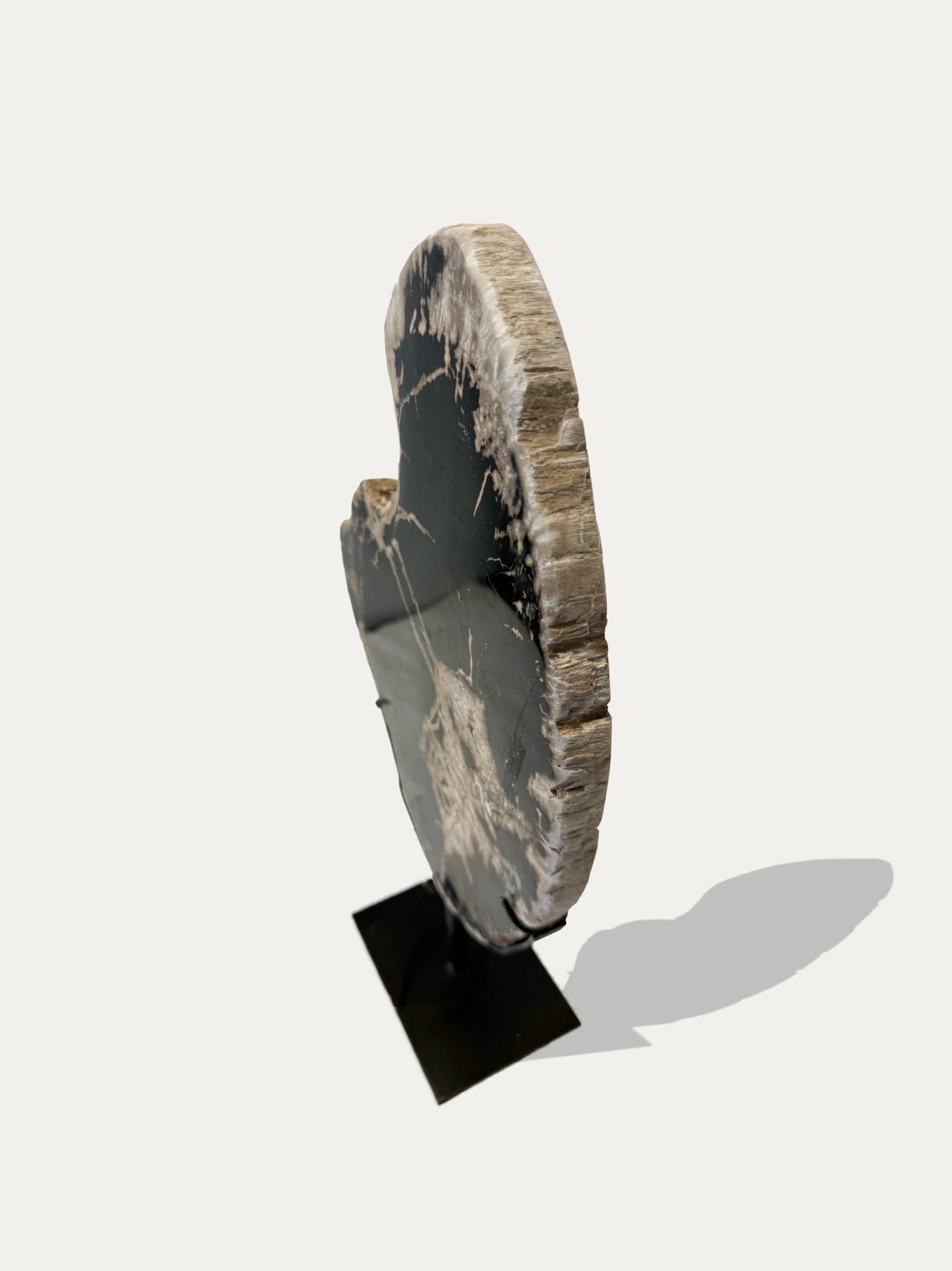 Scultura e Vassoio in Legno Pietrificato