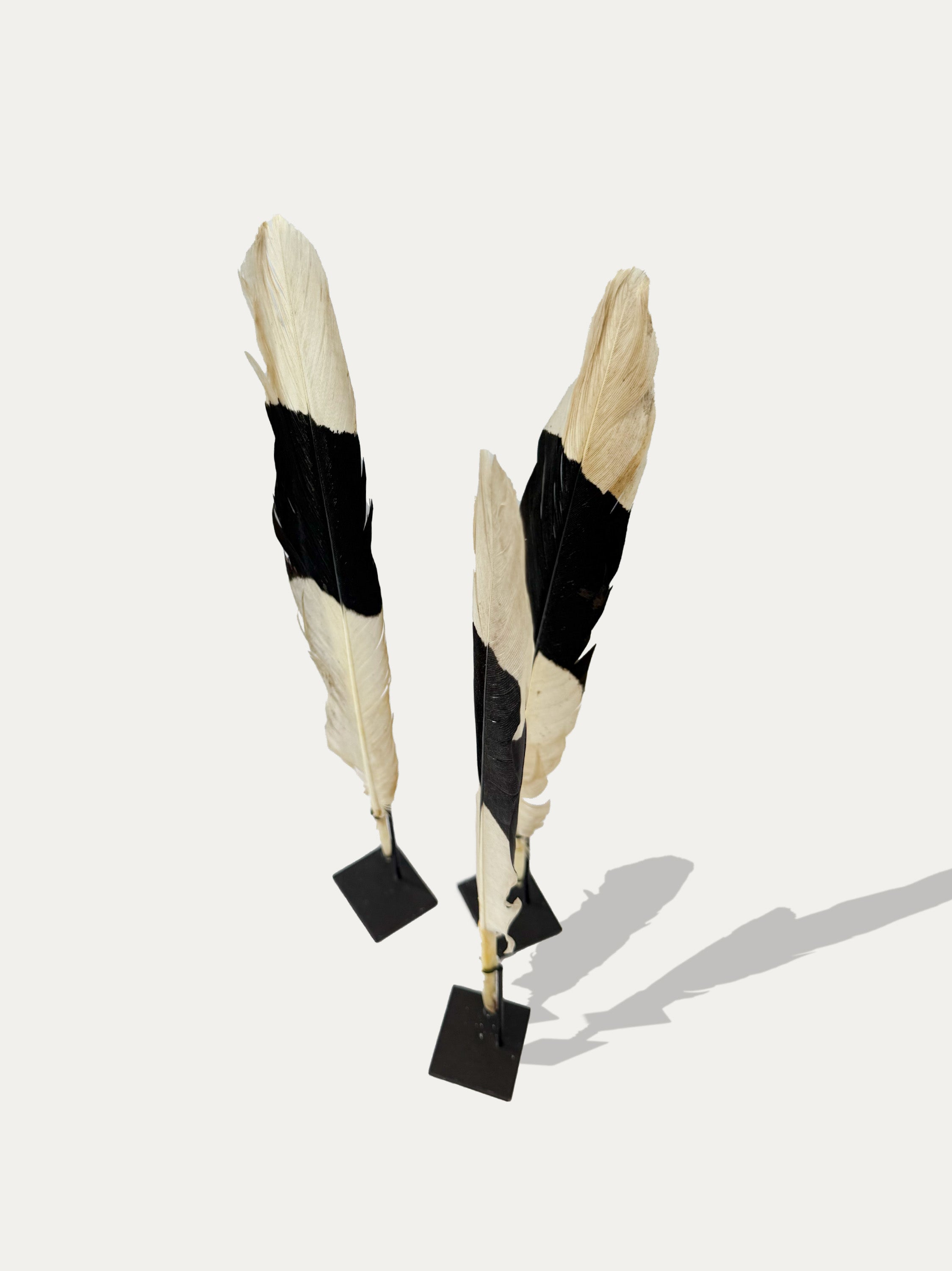 natural-waterbird-feather-sculptures-from-indonesia-set-of-3