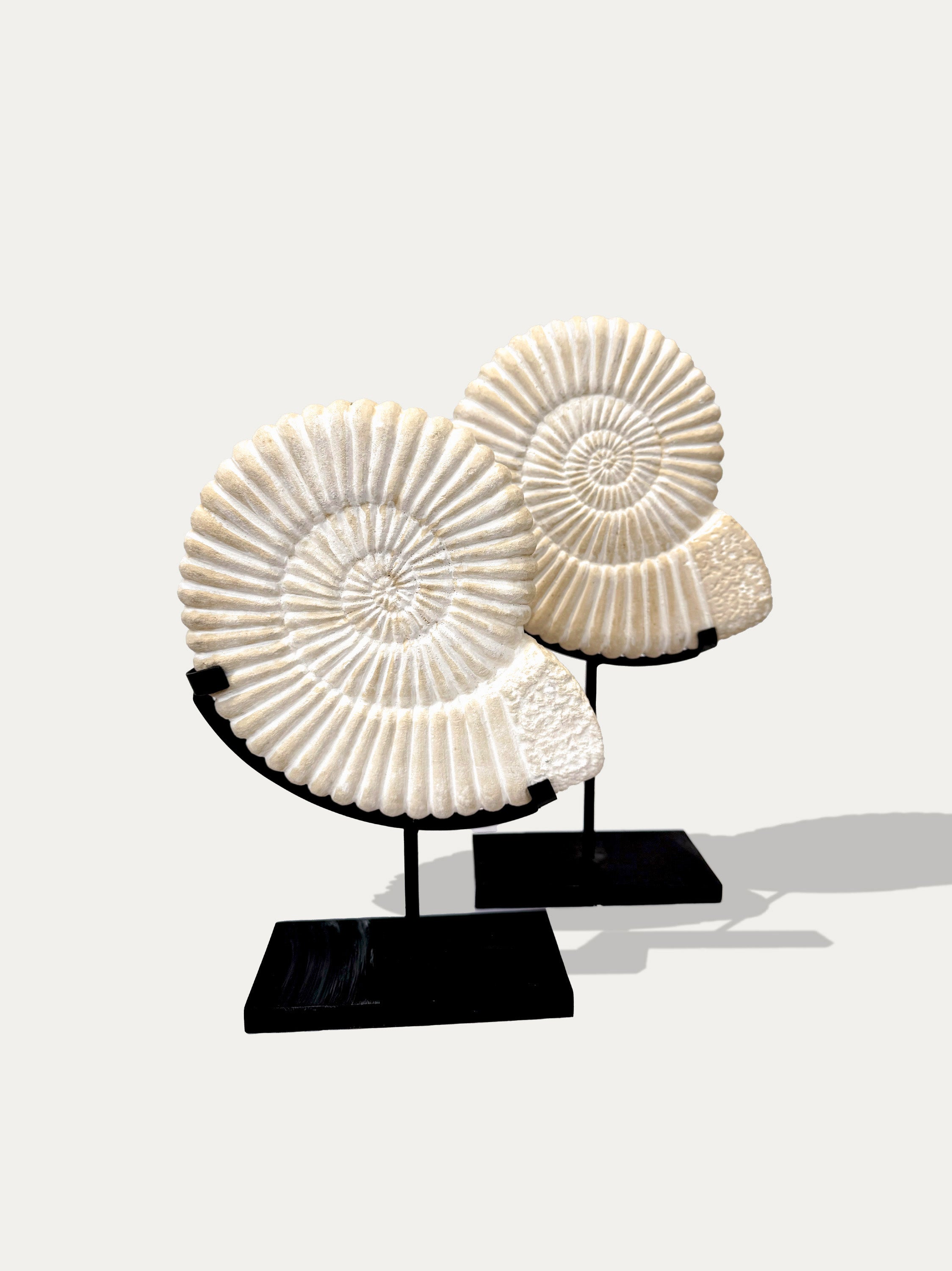 Conjunto de 2 estatuas de piedra de amonita de Java