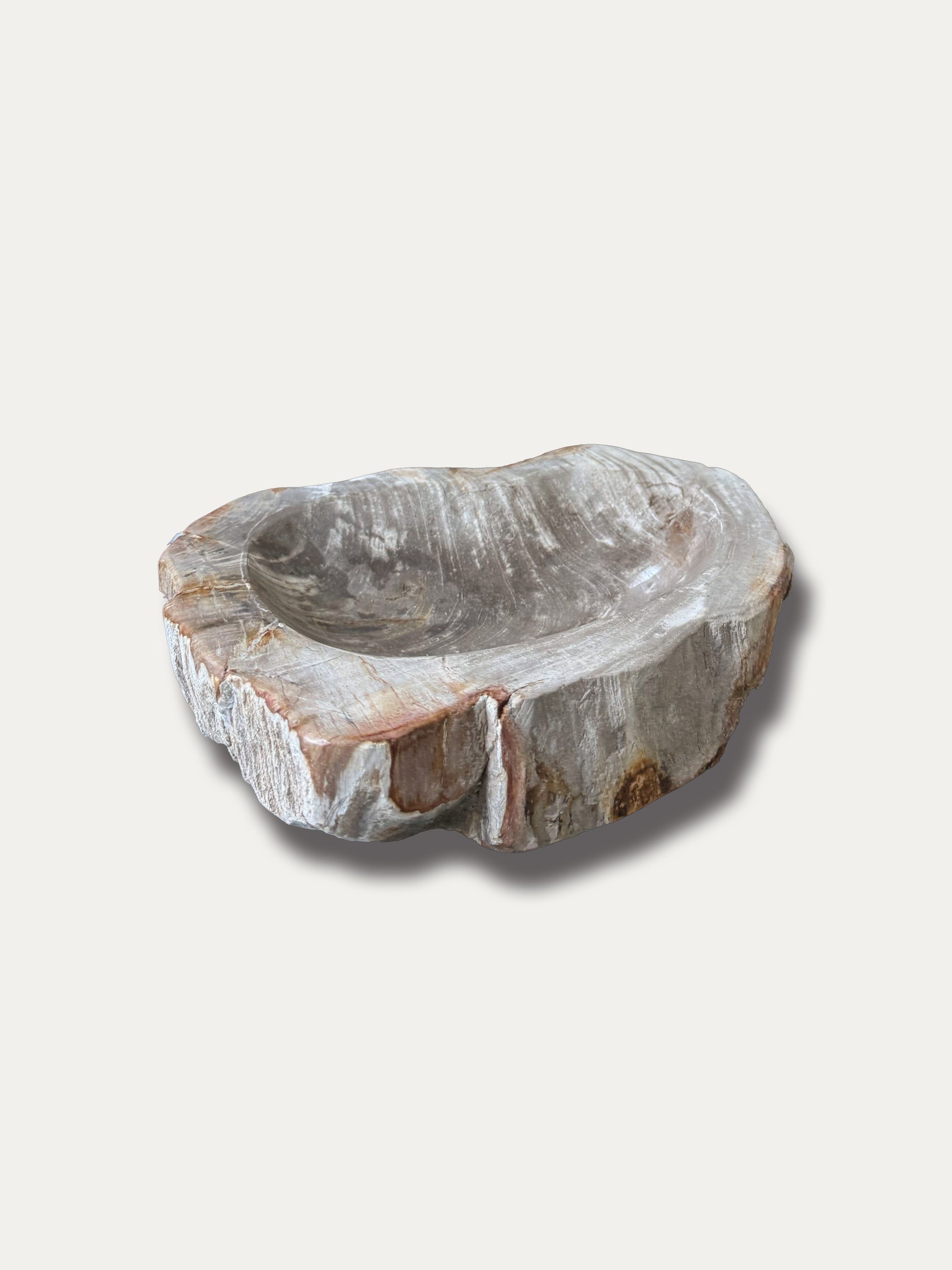 petrified-wood-bowl-earth-tones-mineral-texture-refined-interiors-kirschon