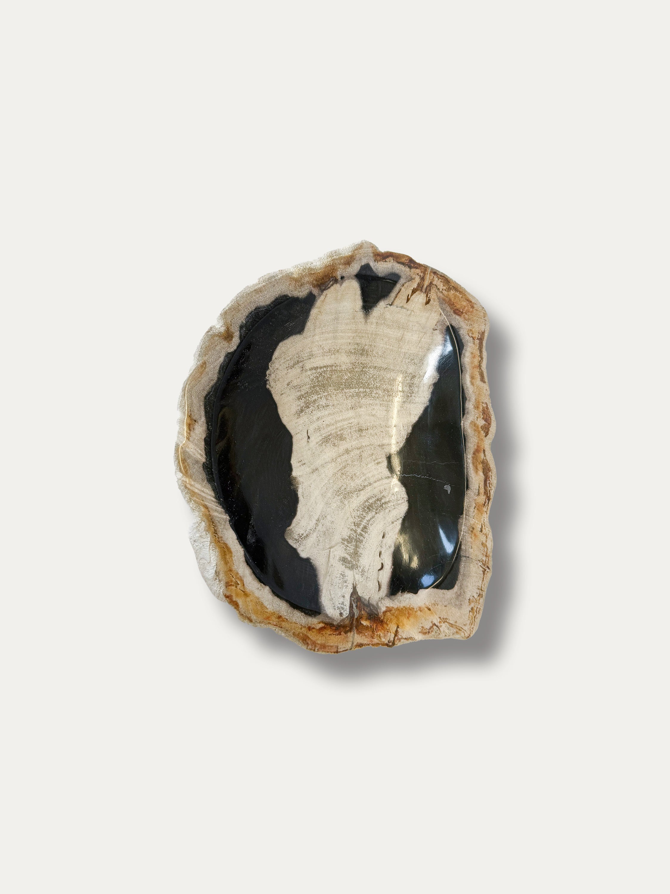 Petrified Wood Bowl