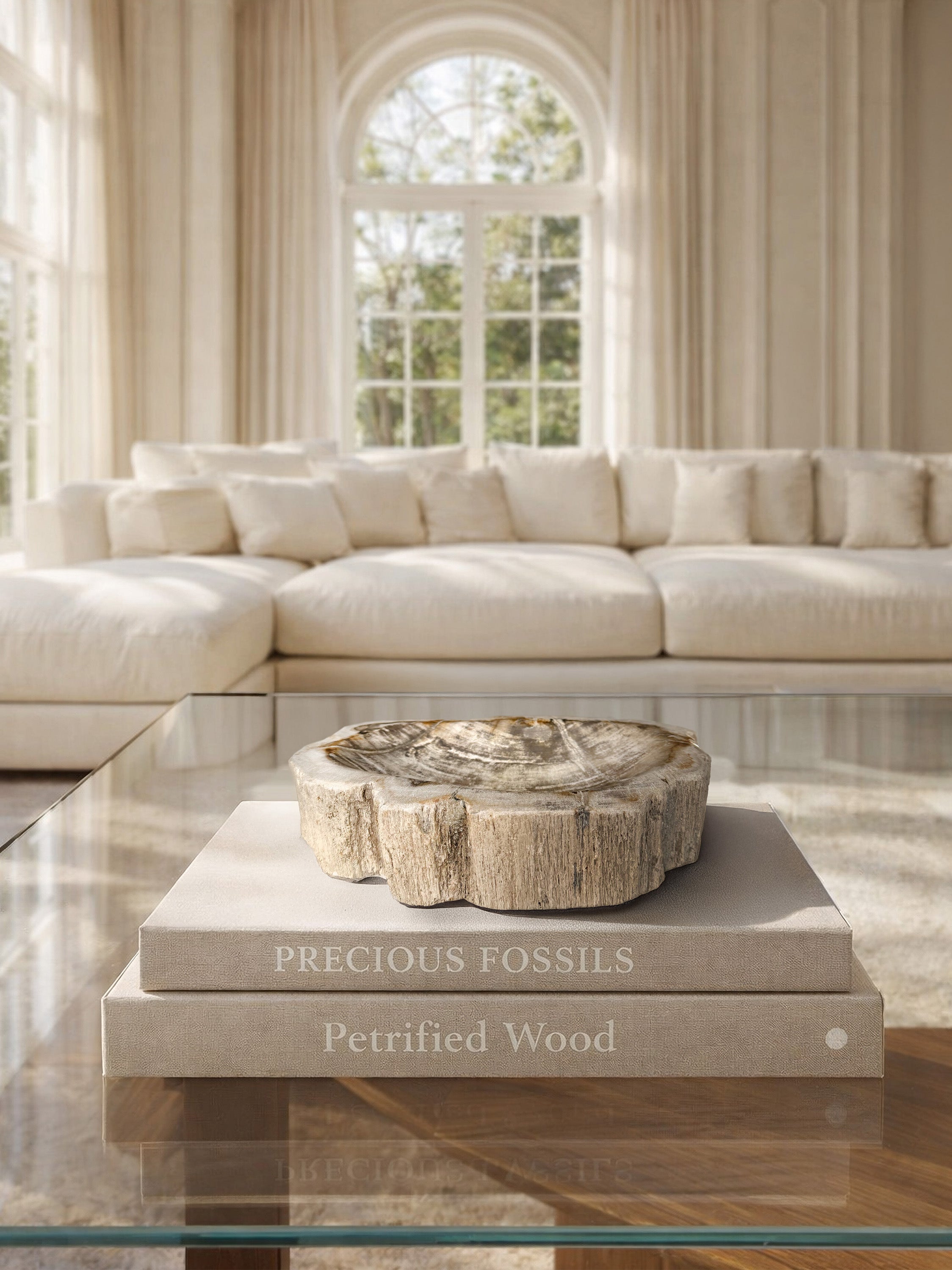 petrified-wood-bowl-organic-texture-handcrafted-decor