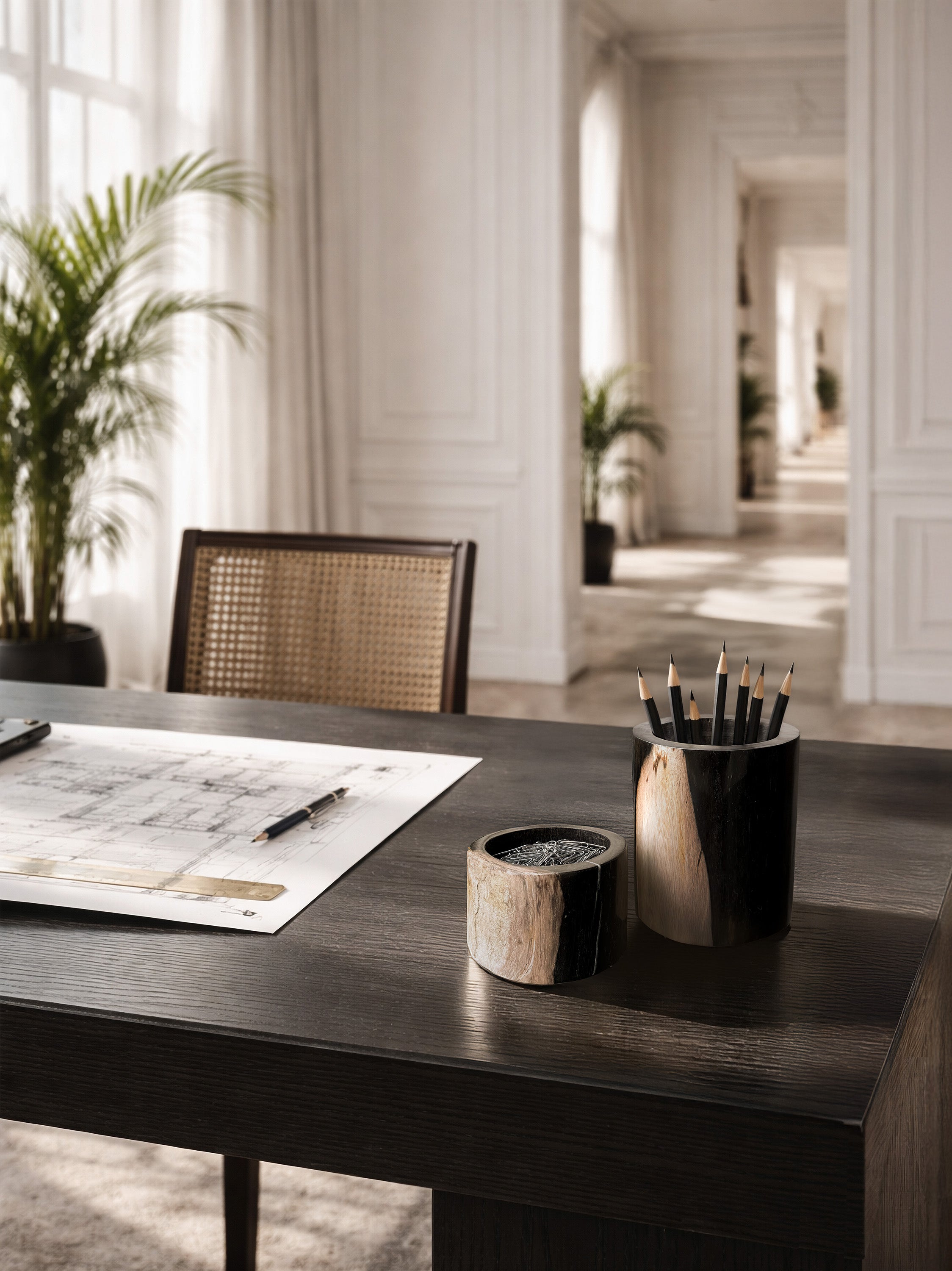 petrified-wood-desk-set-java-miocene-fossil-wood-kirschon