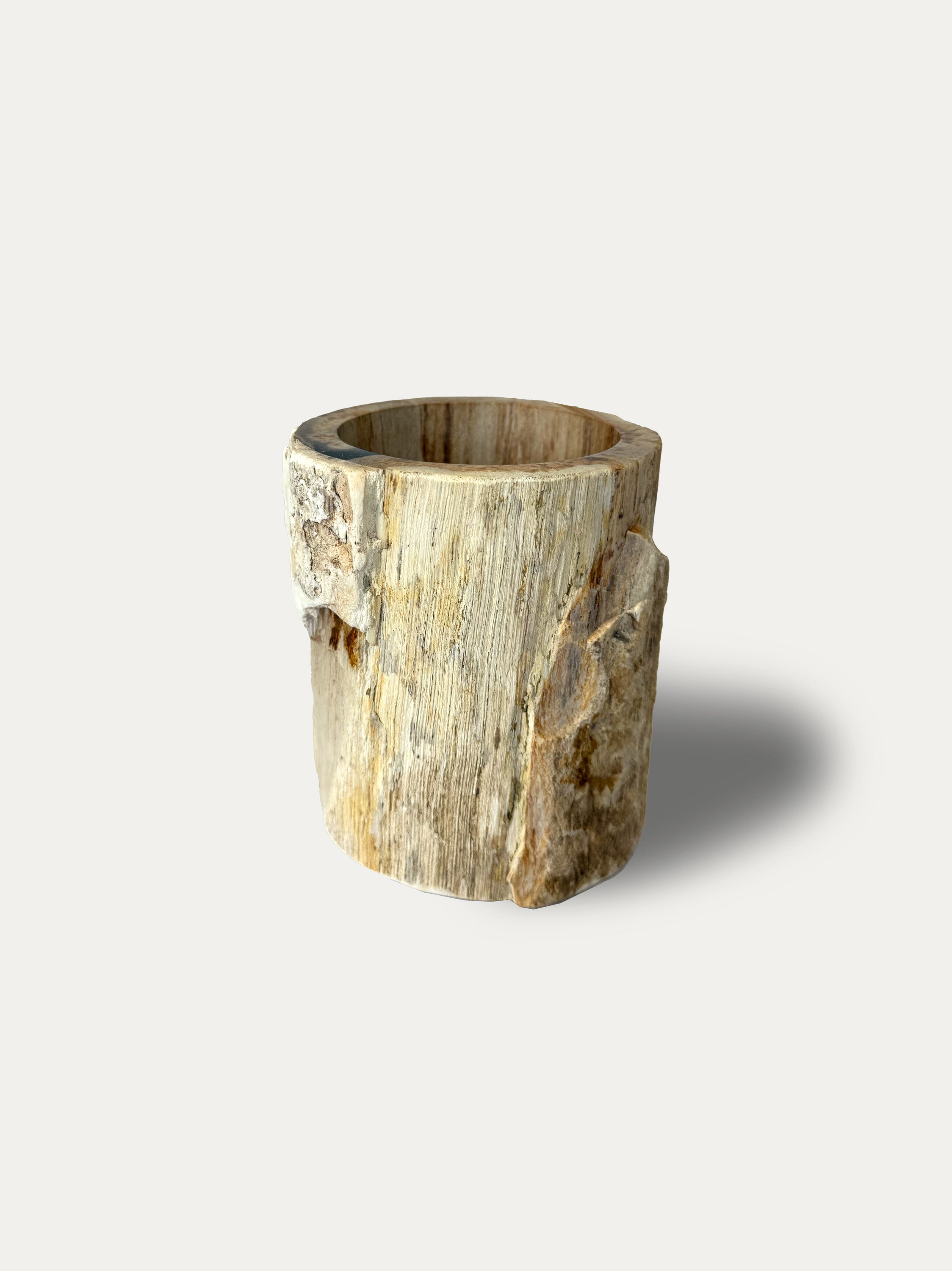 petrified-wood-glass-miocene-java-indonesia-natural-stone-cup-italy-europe