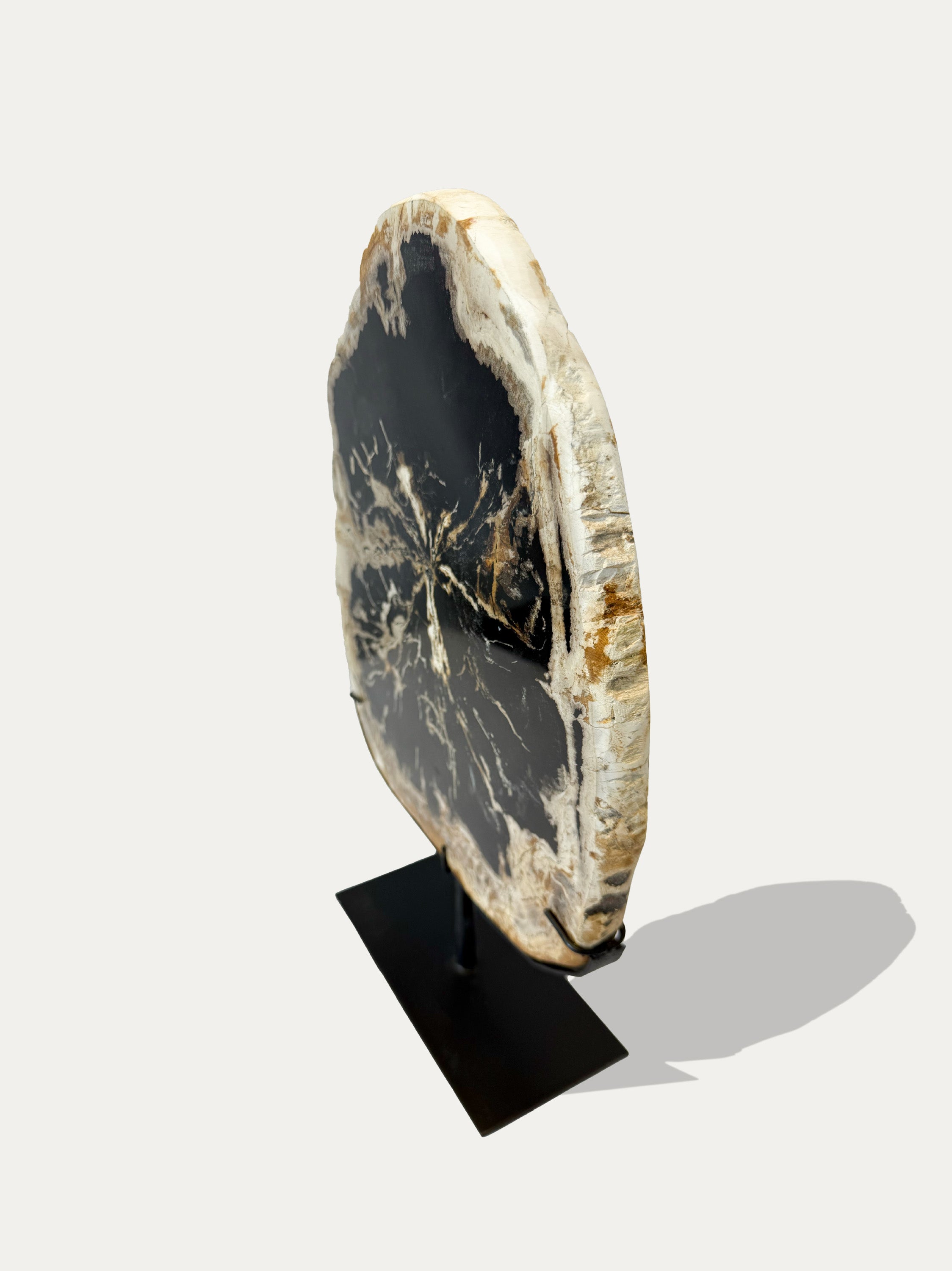 Scultura e Vassoio in Legno Pietrificato