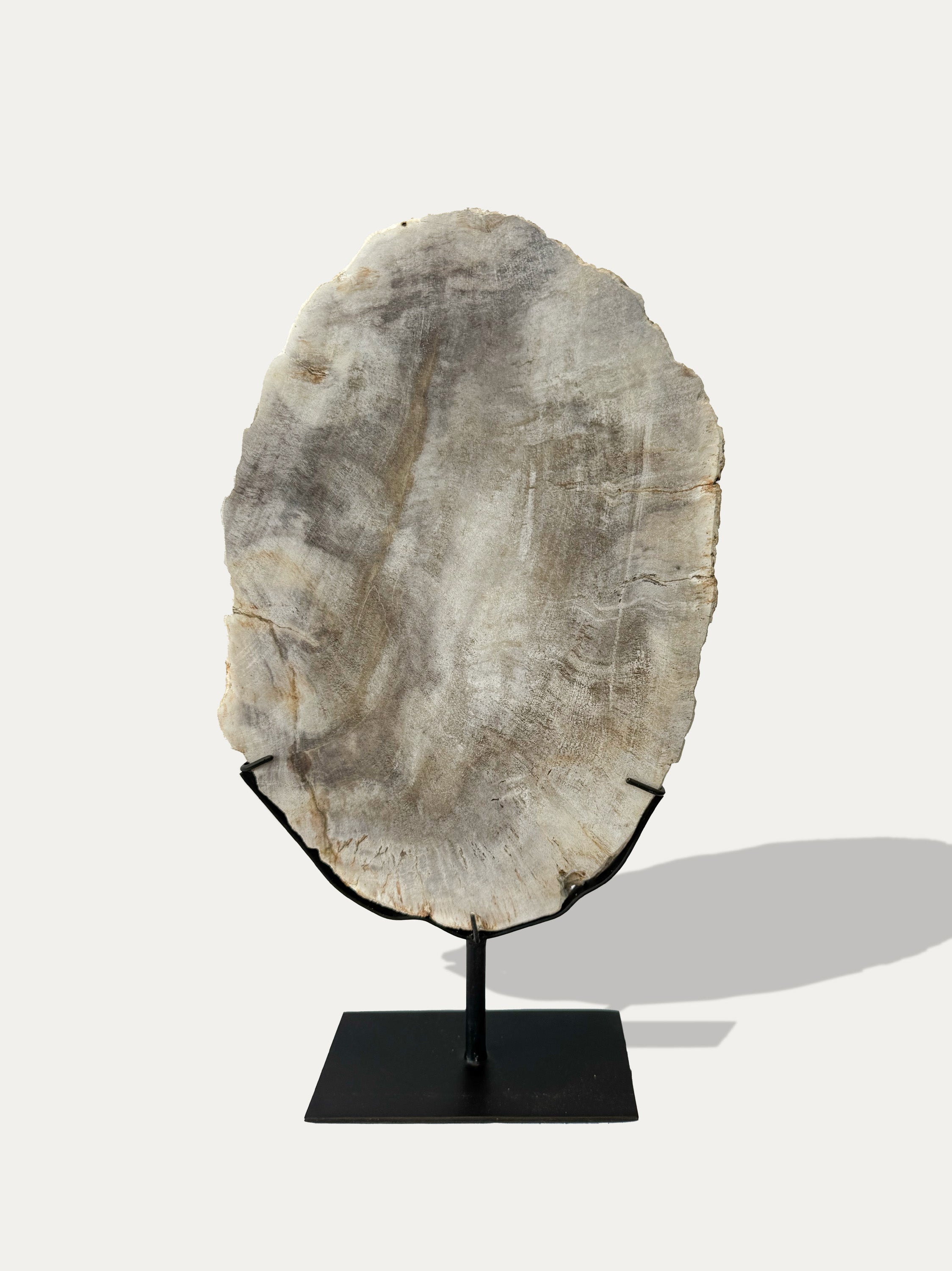 Scultura e Vassoio in Legno Pietrificato