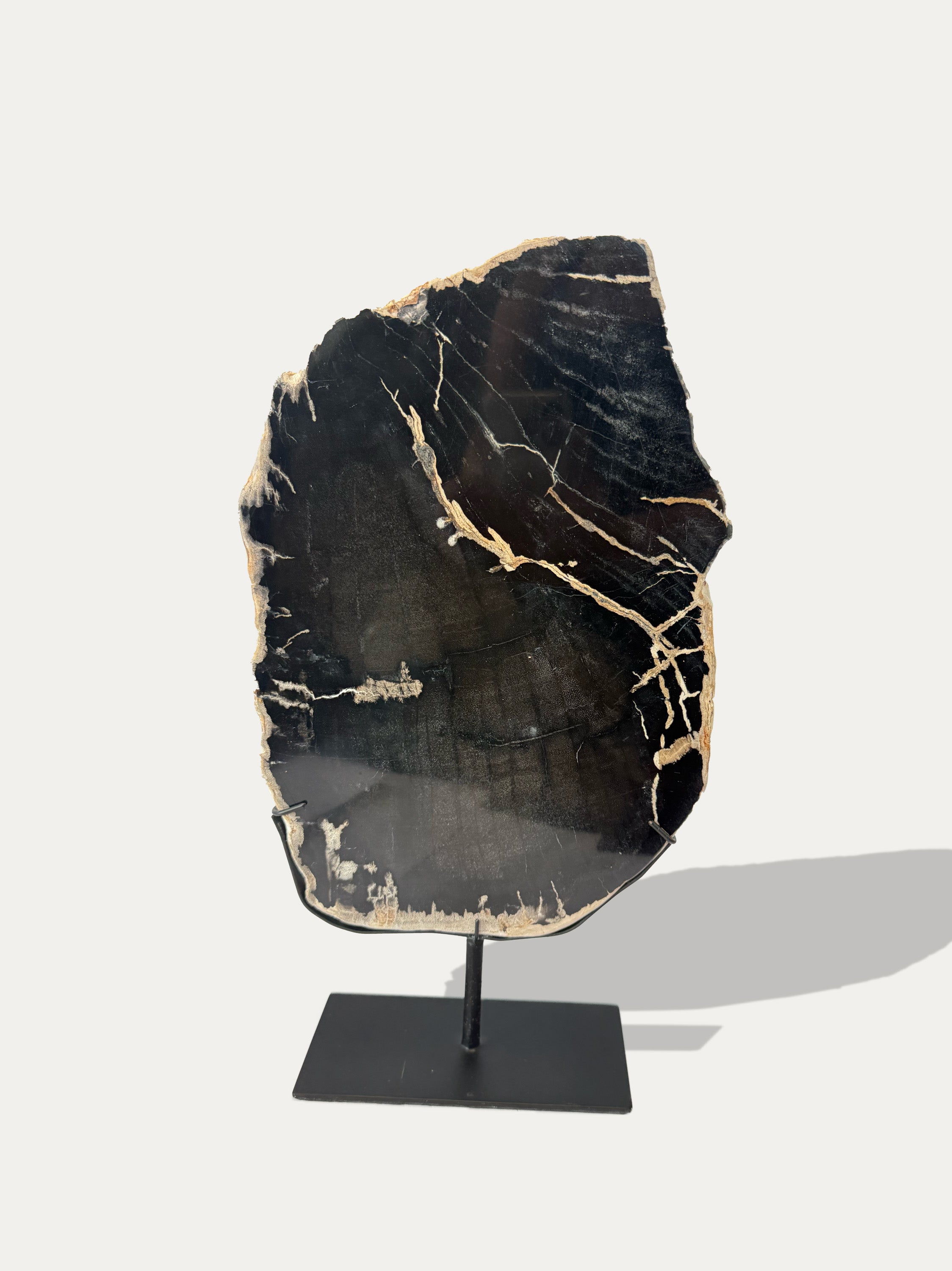 Escultura y bandeja de madera petrificada